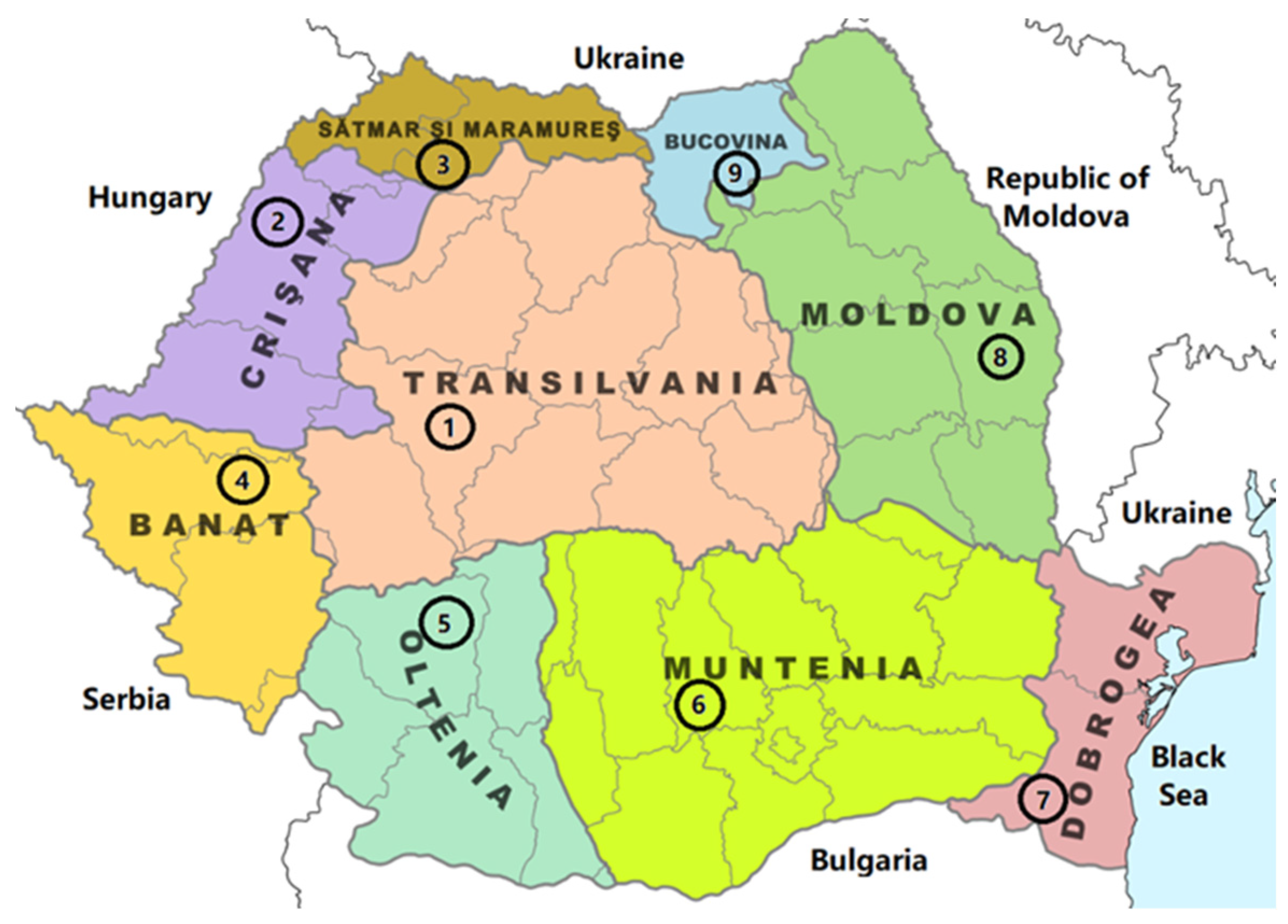 Plants 13 03355 g001