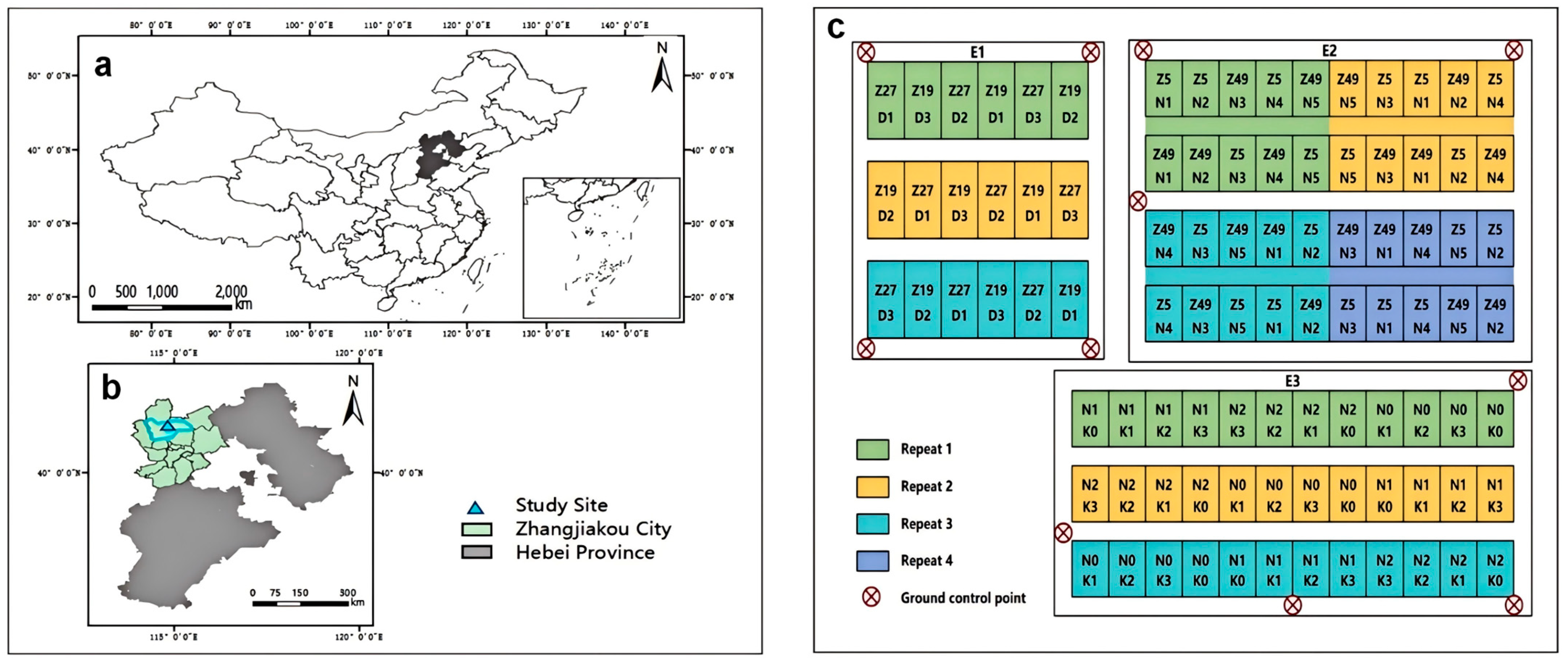 Plants 13 03356 g008