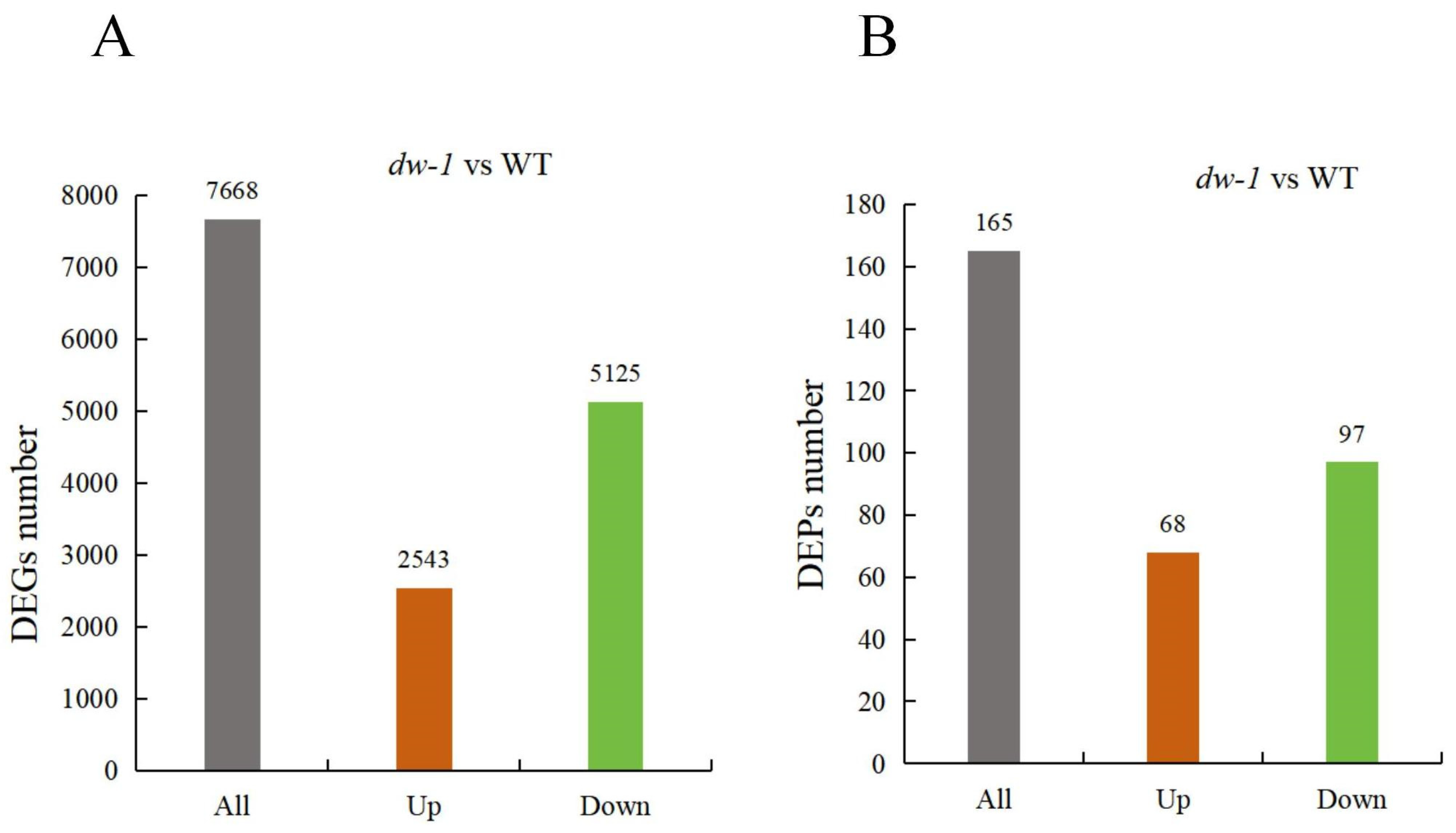 Plants 13 03357 g002