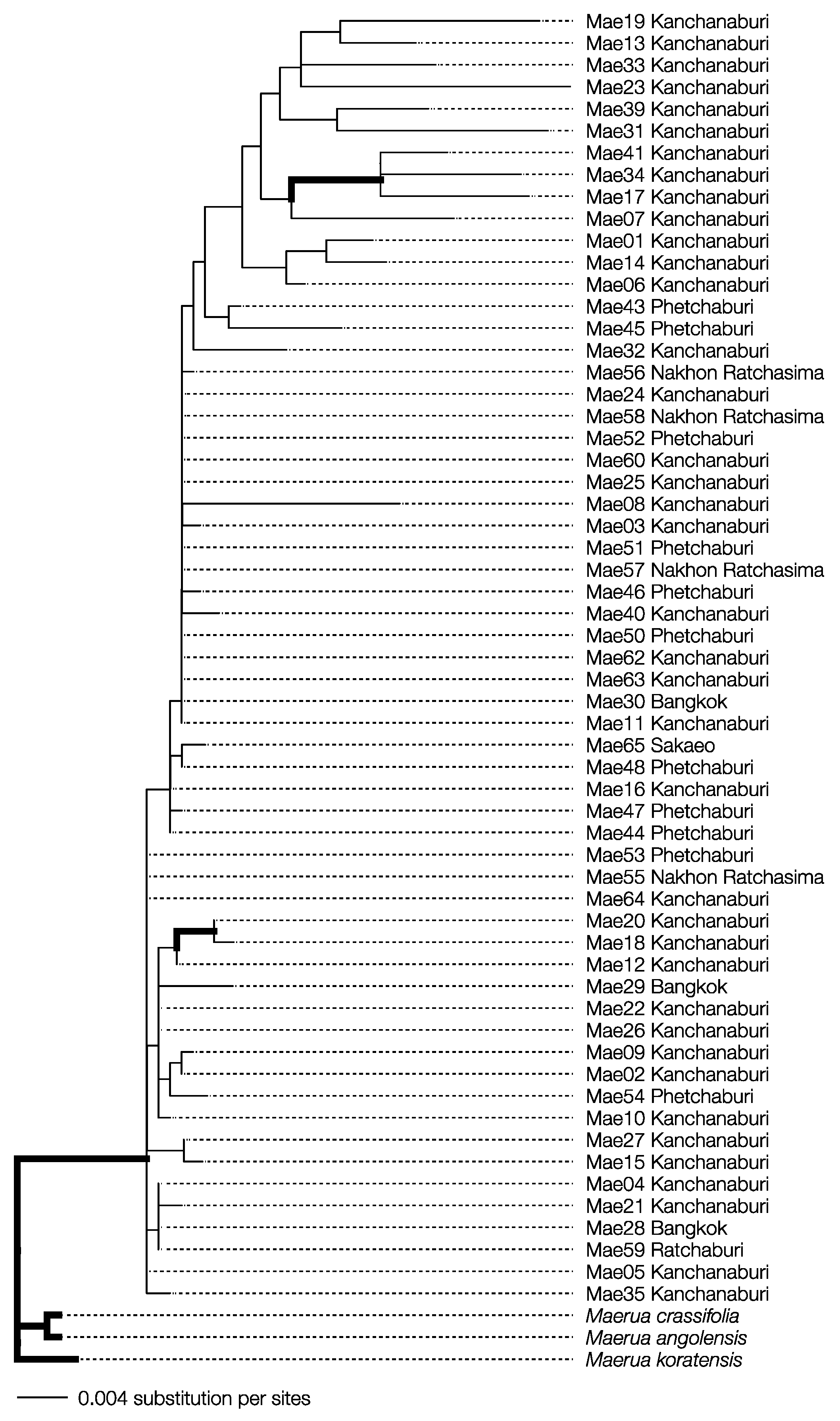 Plants 13 03359 g002