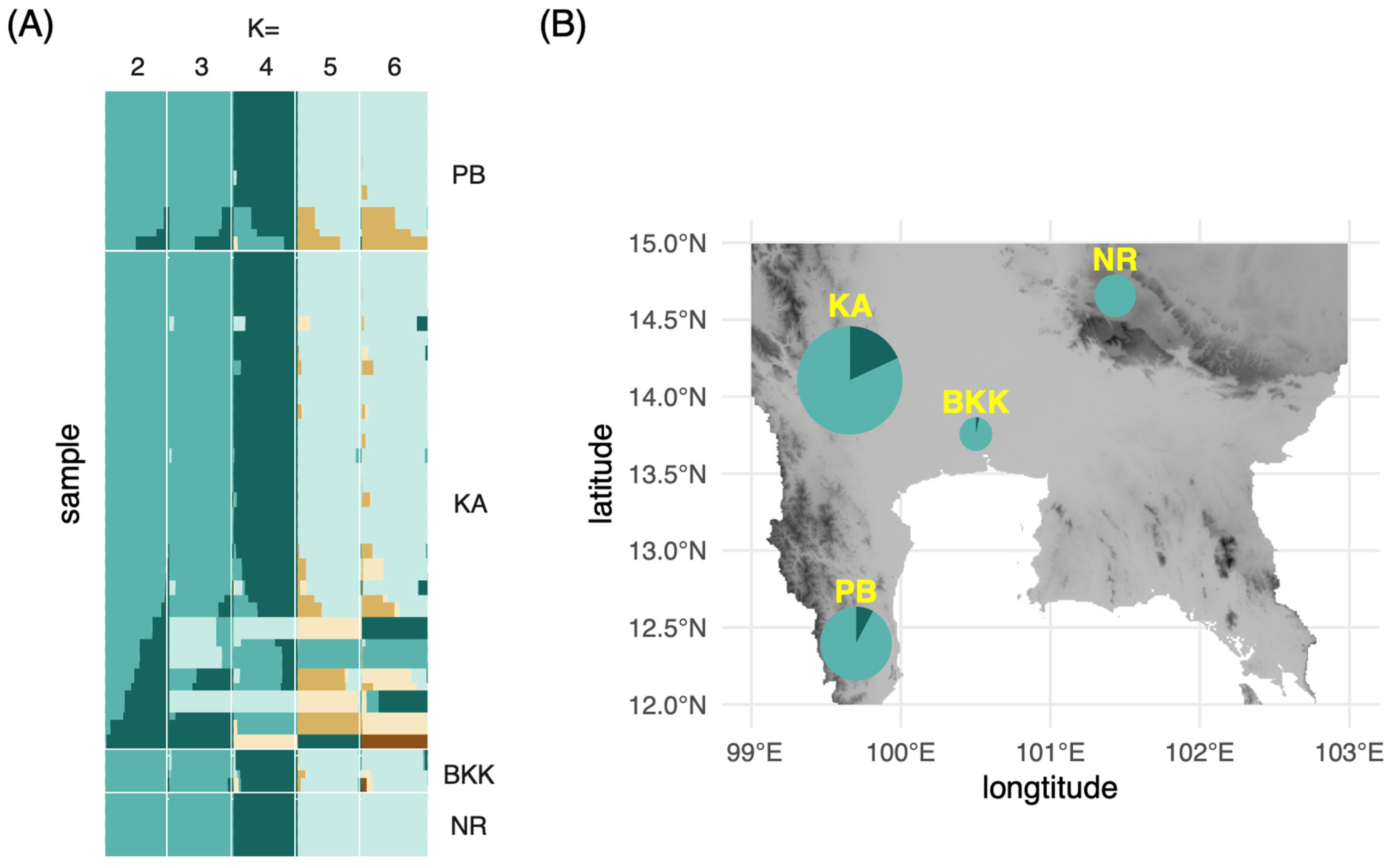 Plants 13 03359 g003