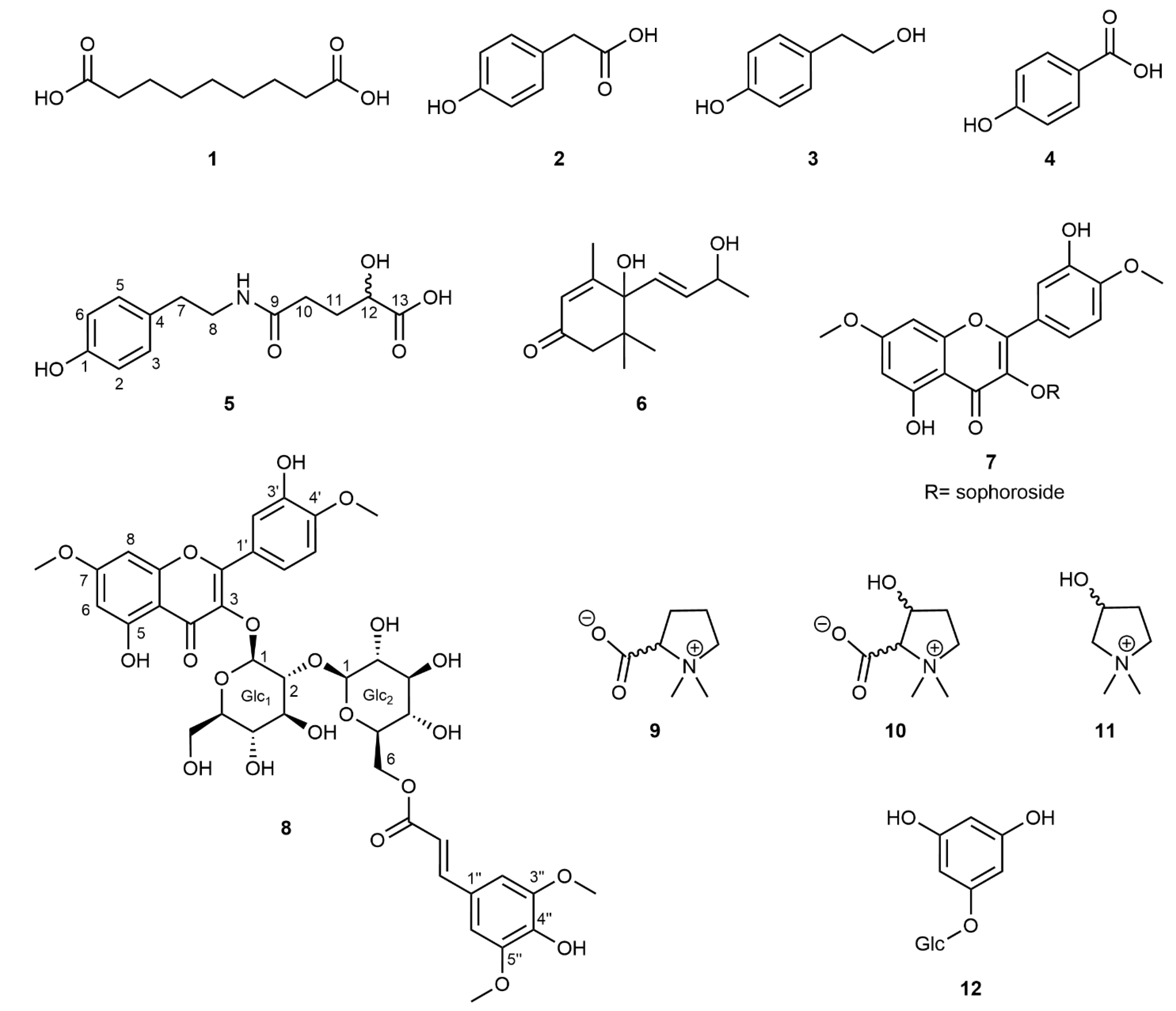Plants 13 03359 g004