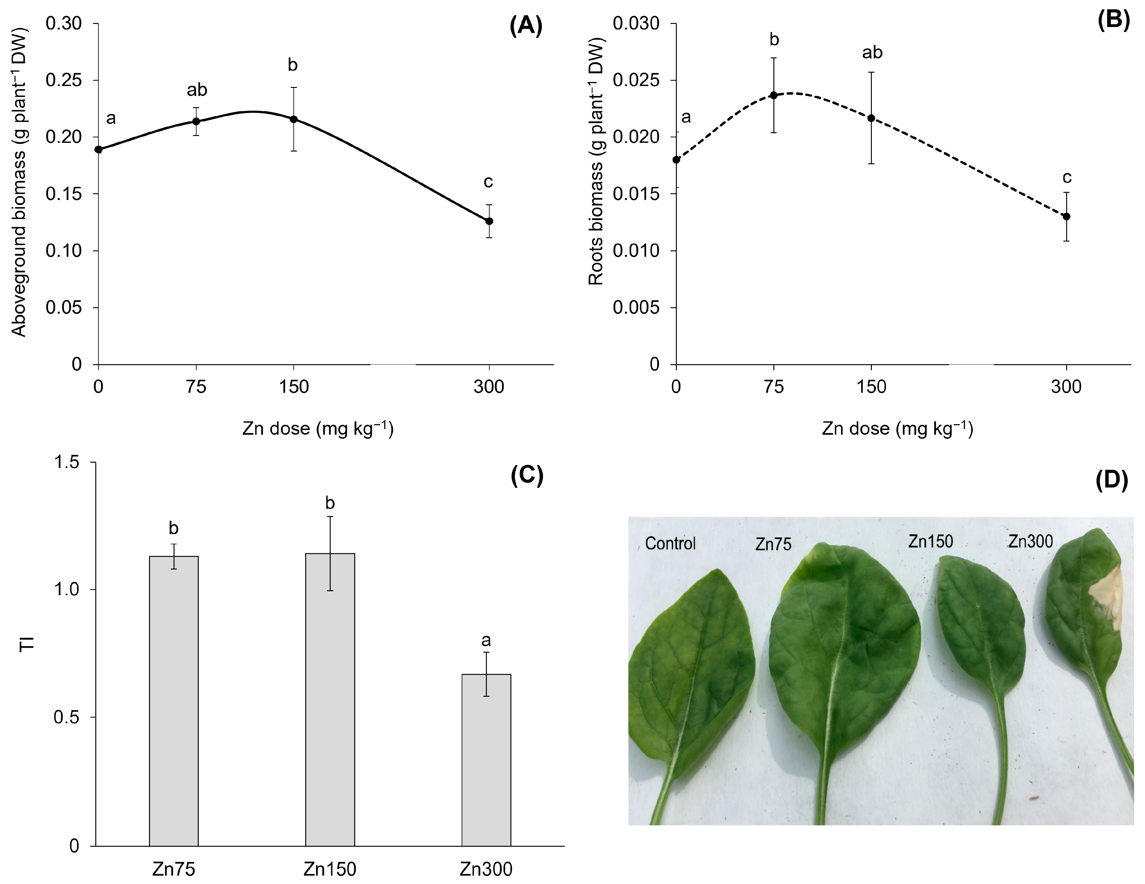 Plants 13 03363 g003