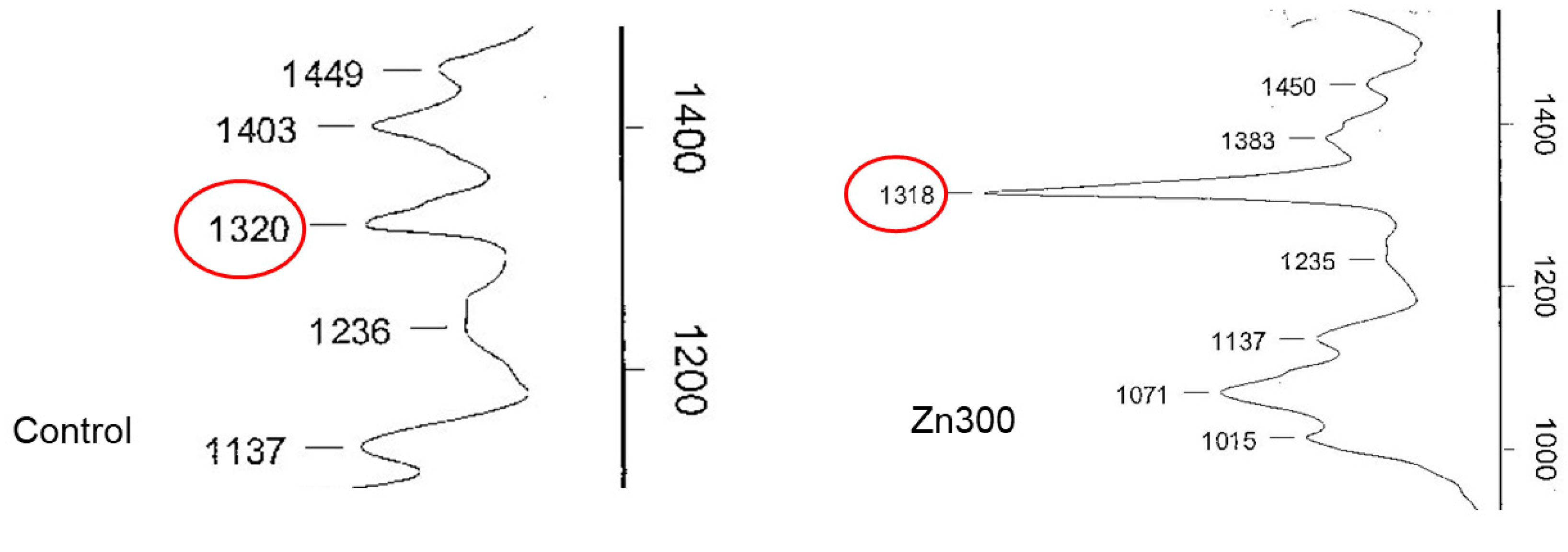 Plants 13 03363 g006