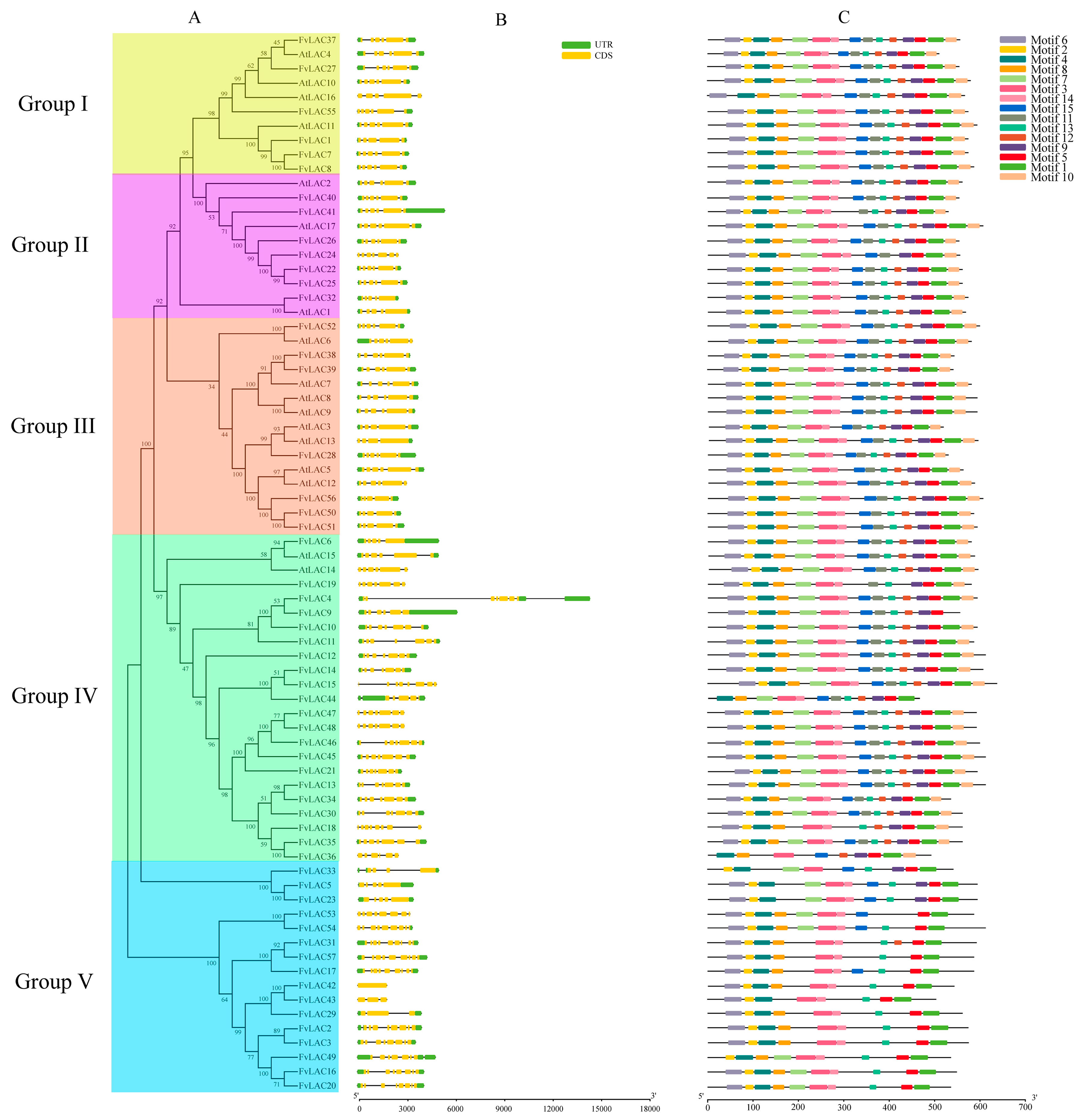 Plants 13 03366 g001