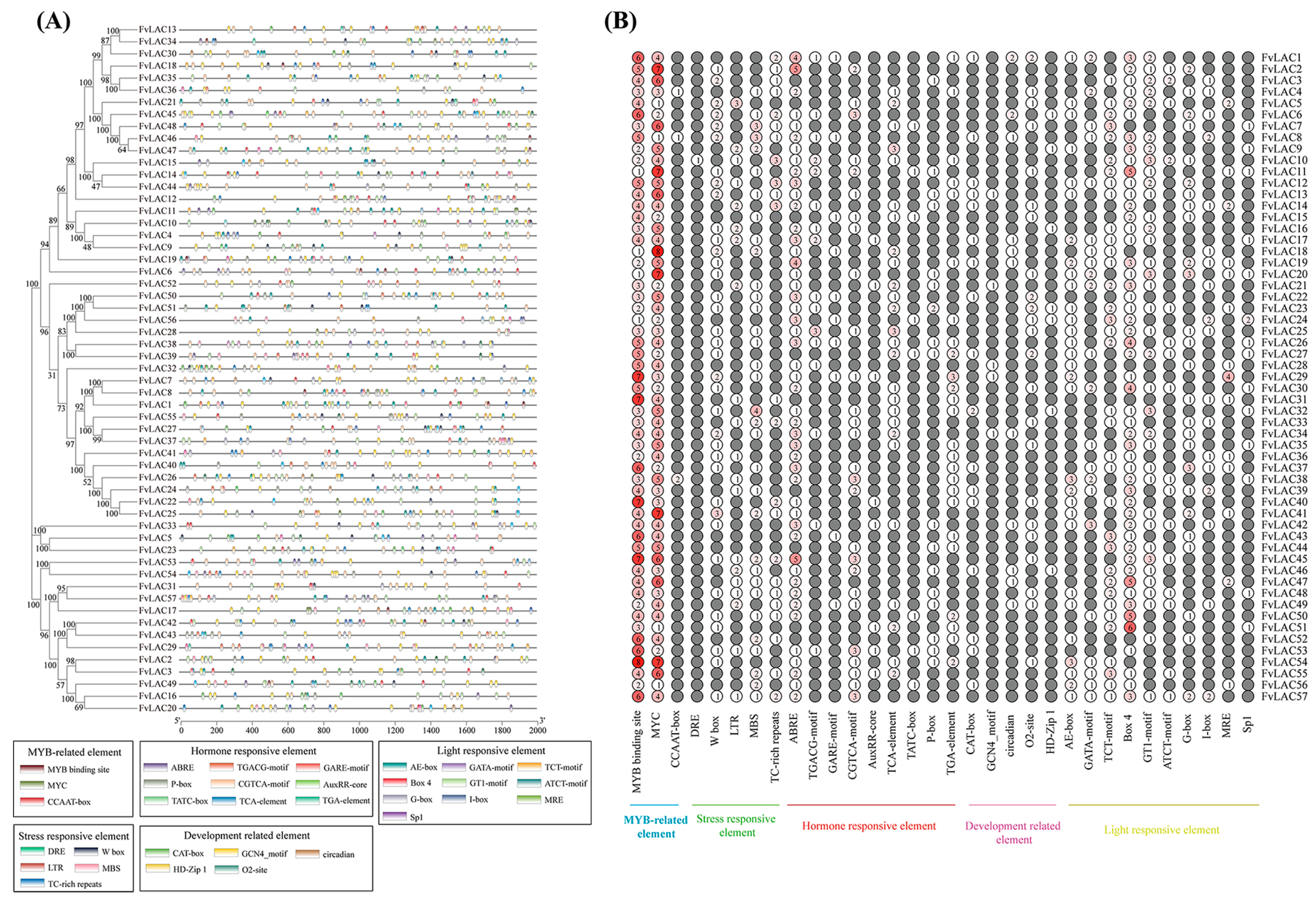 Plants 13 03366 g003