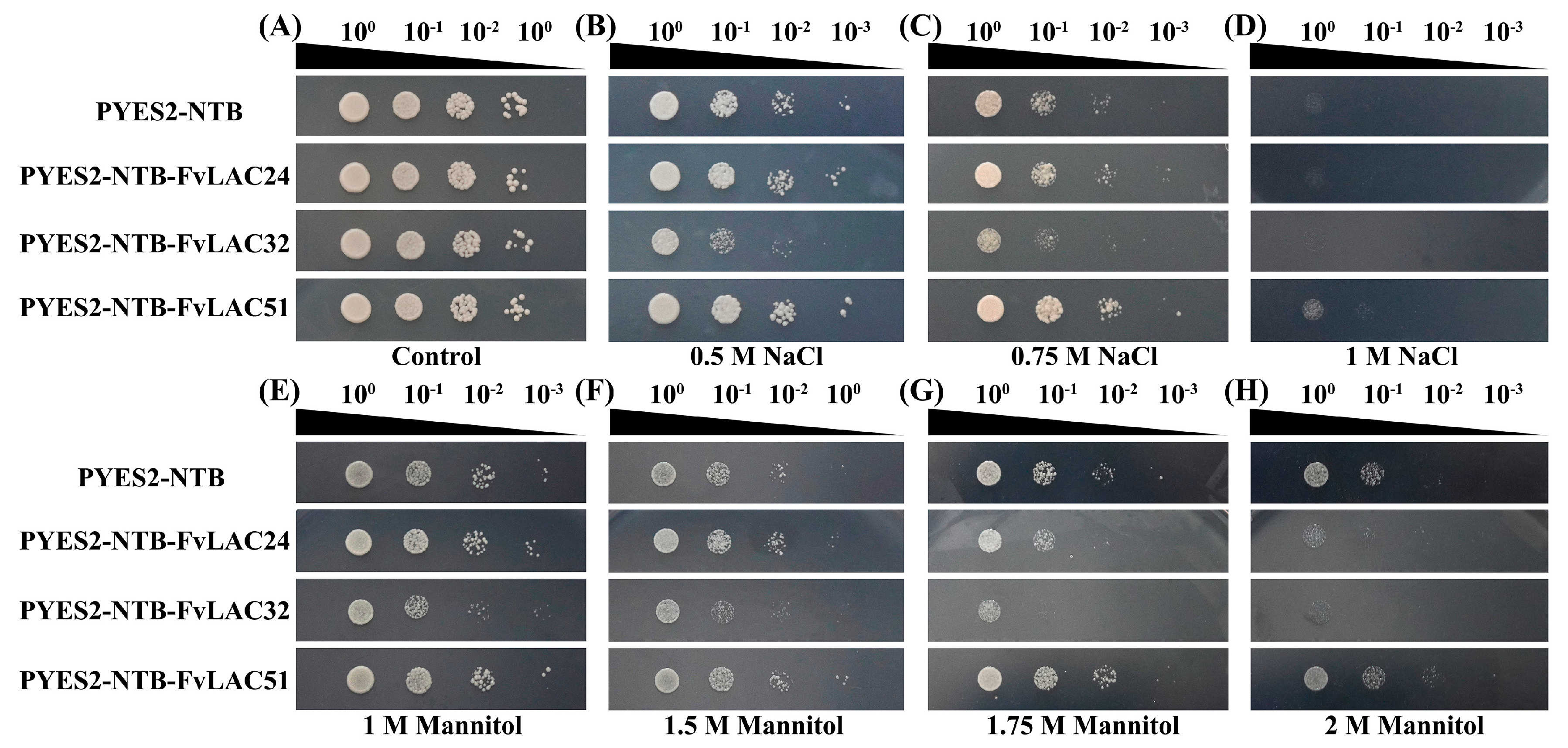 Plants 13 03366 g006