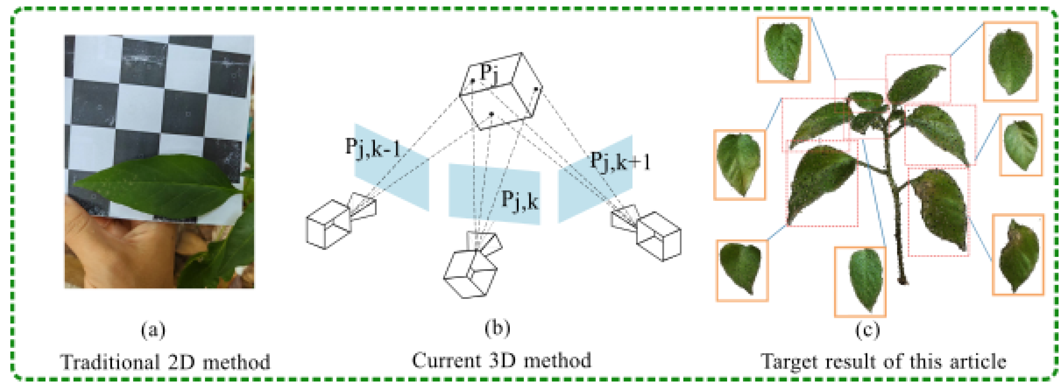 Plants 13 03368 g001