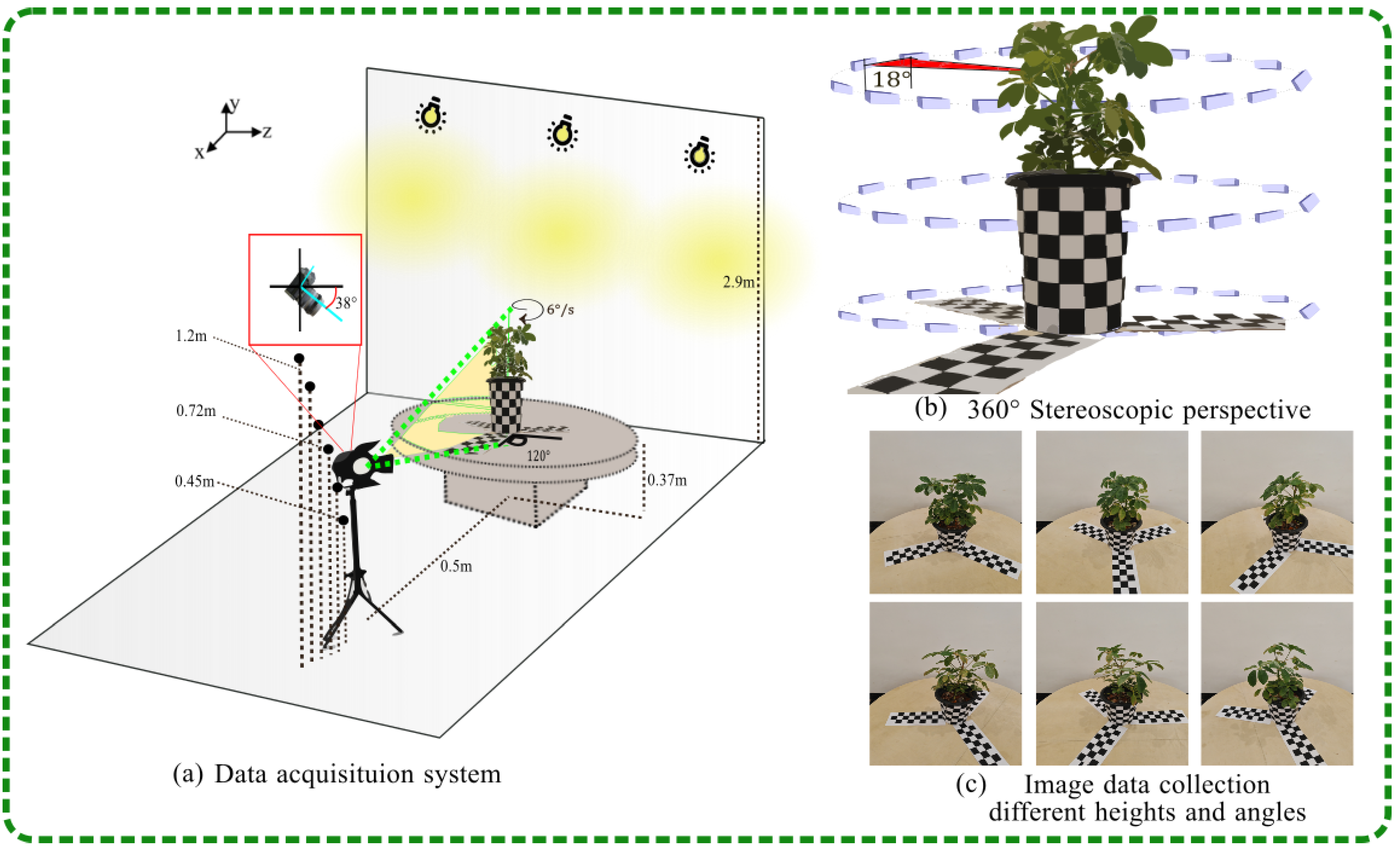 Plants 13 03368 g002