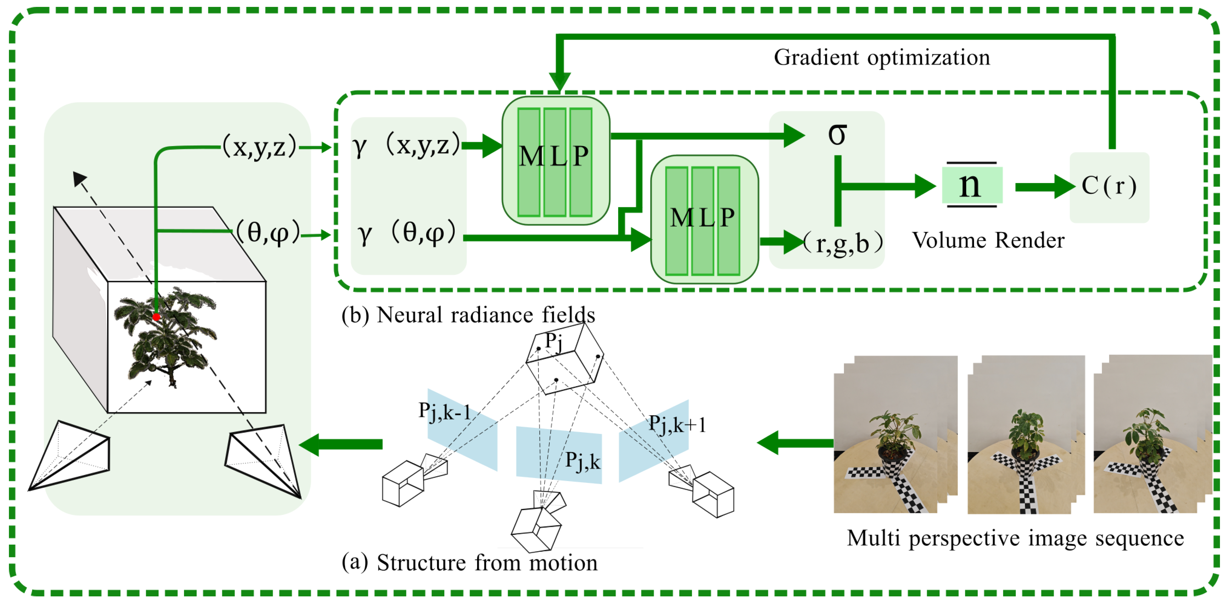 Plants 13 03368 g003