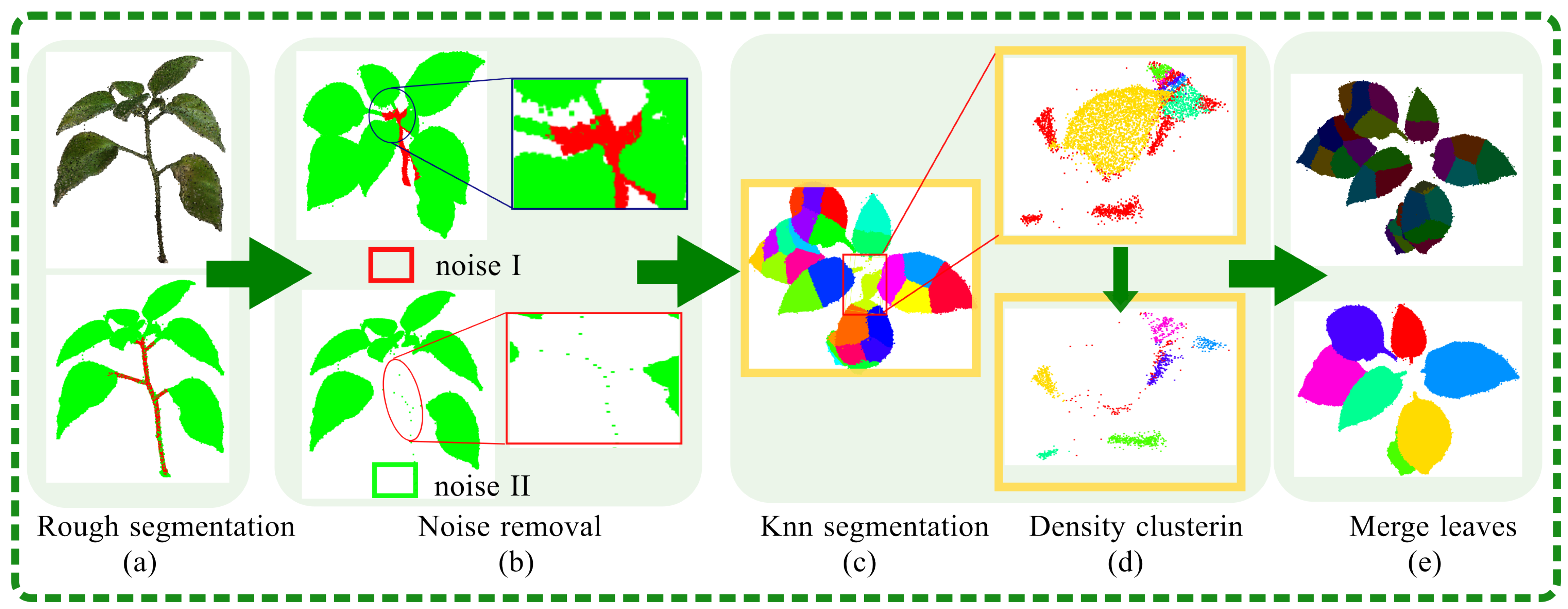 Plants 13 03368 g005