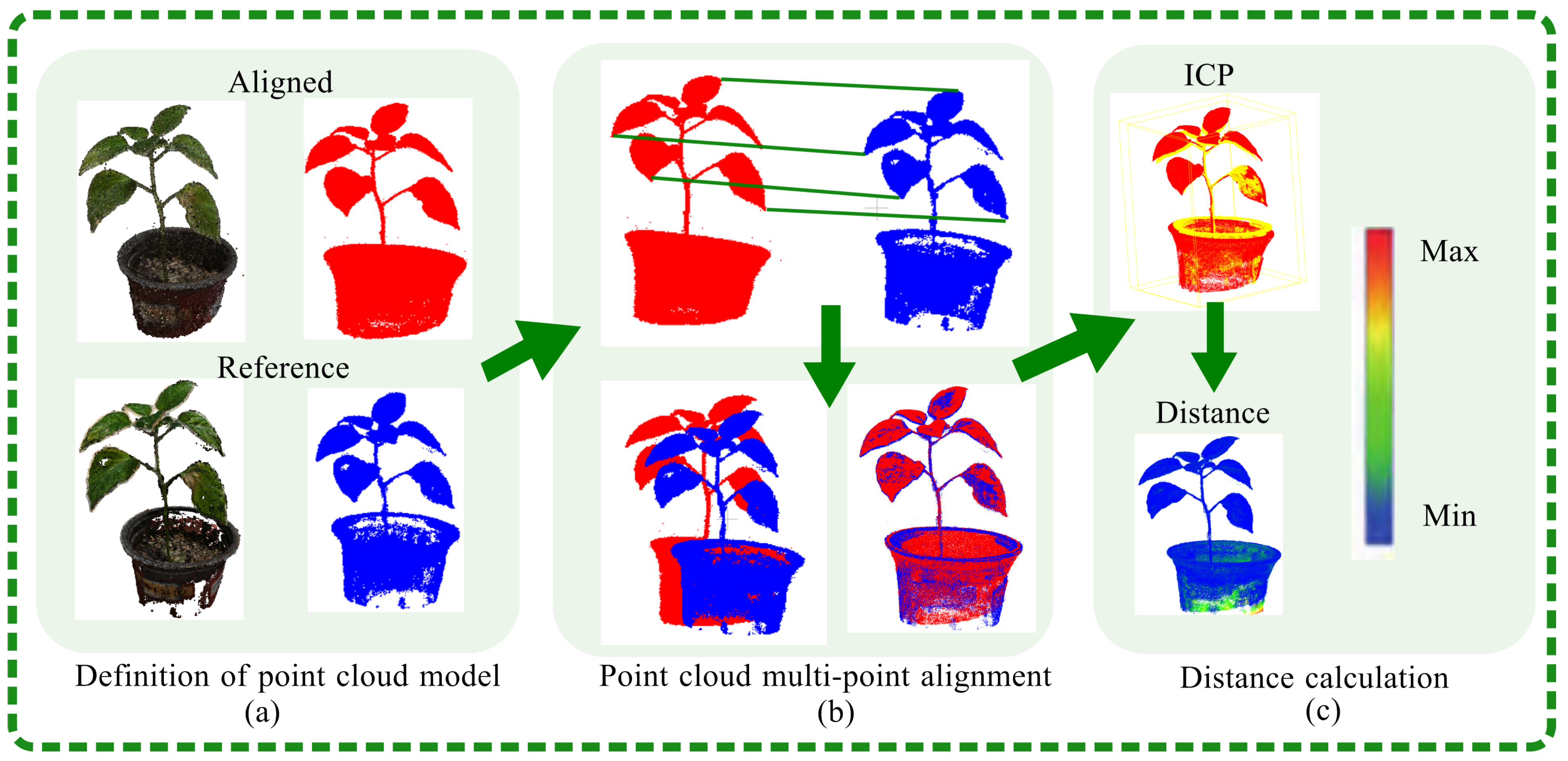 Plants 13 03368 g008