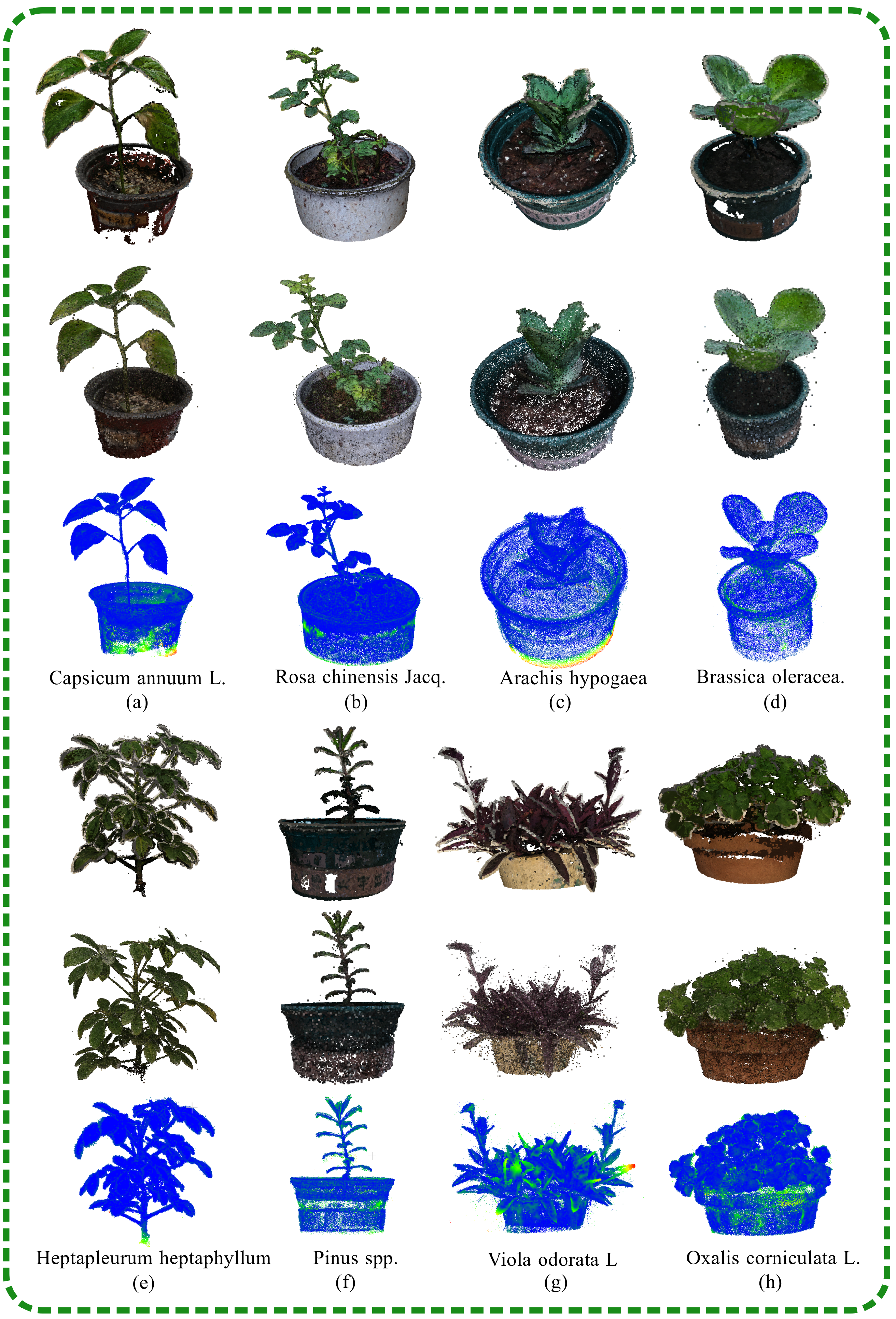 Plants 13 03368 g009