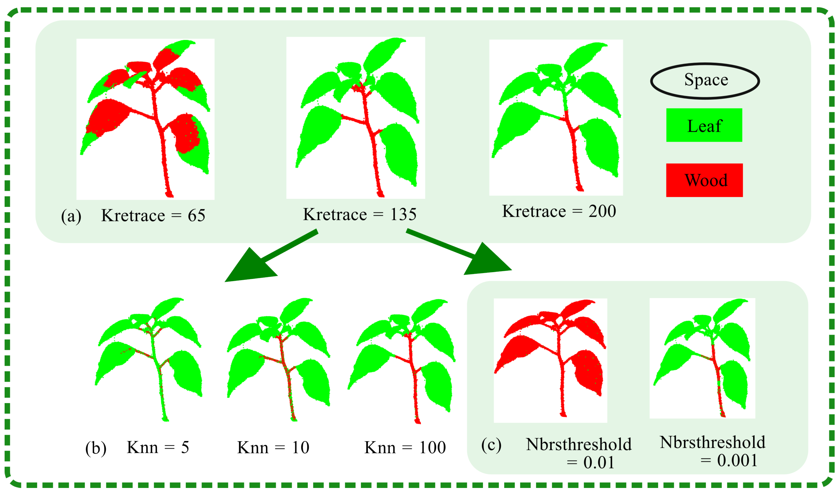 Plants 13 03368 g010