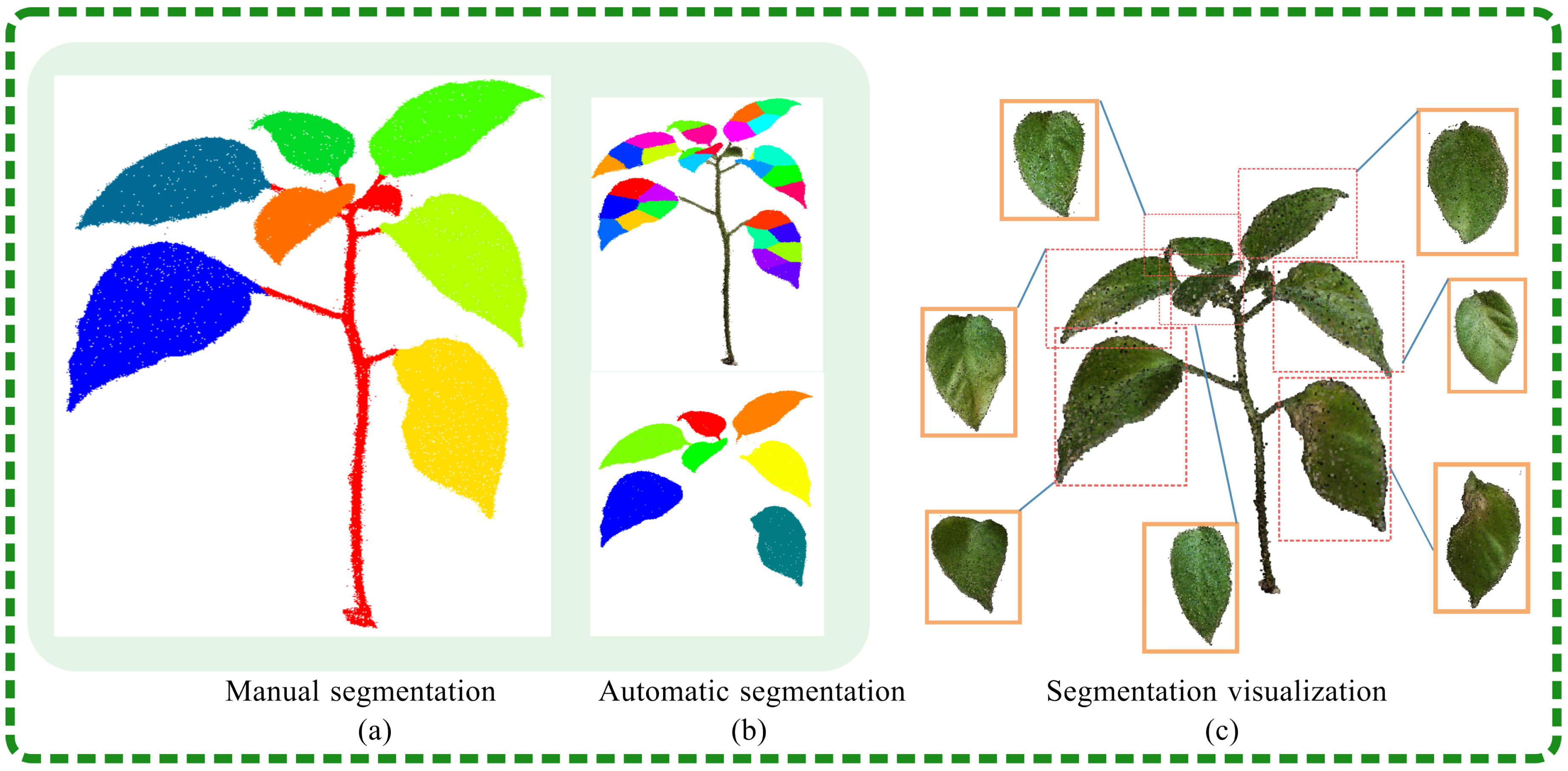 Plants 13 03368 g011