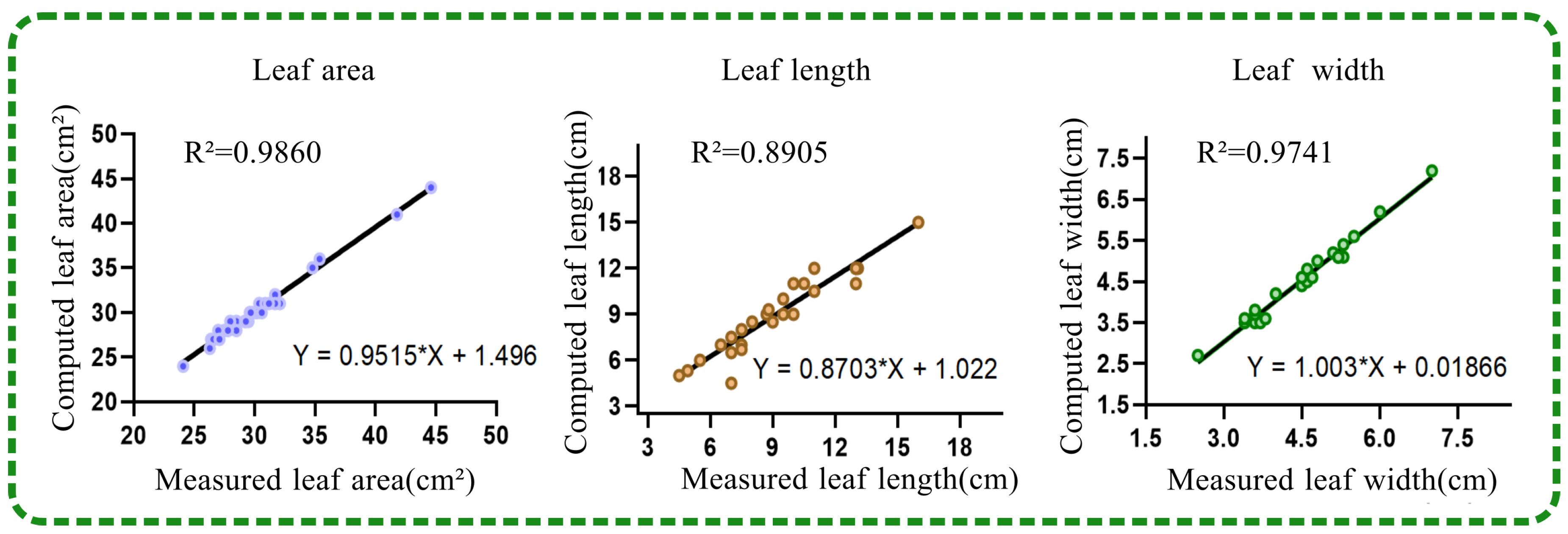 Plants 13 03368 g012
