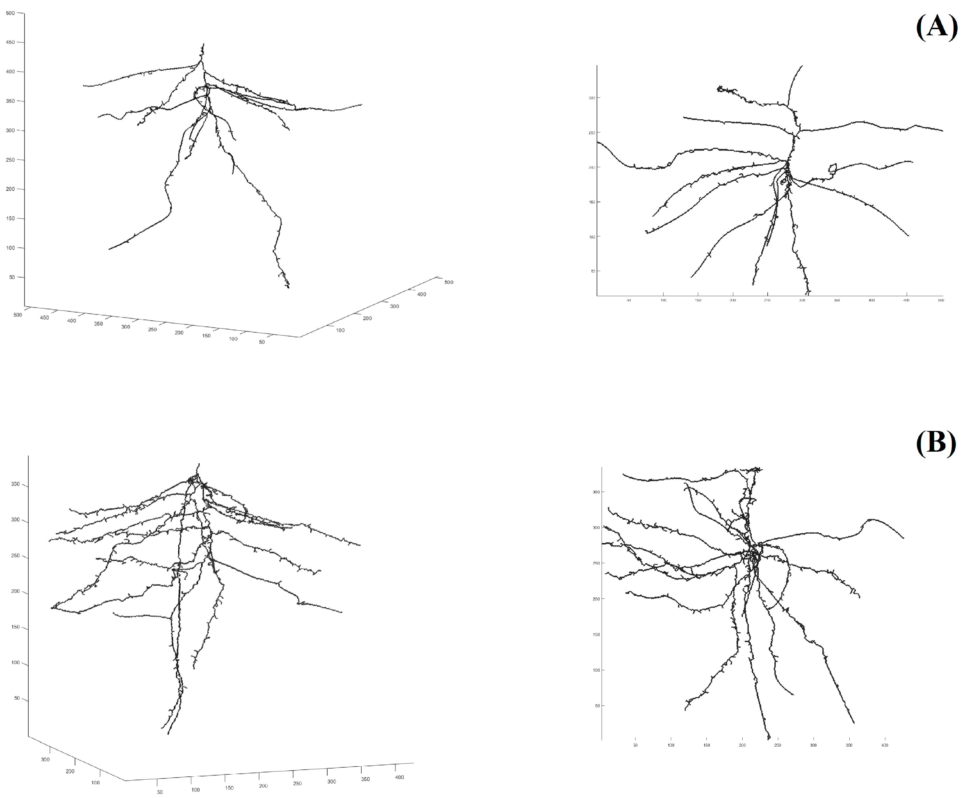 Plants 13 03369 g002