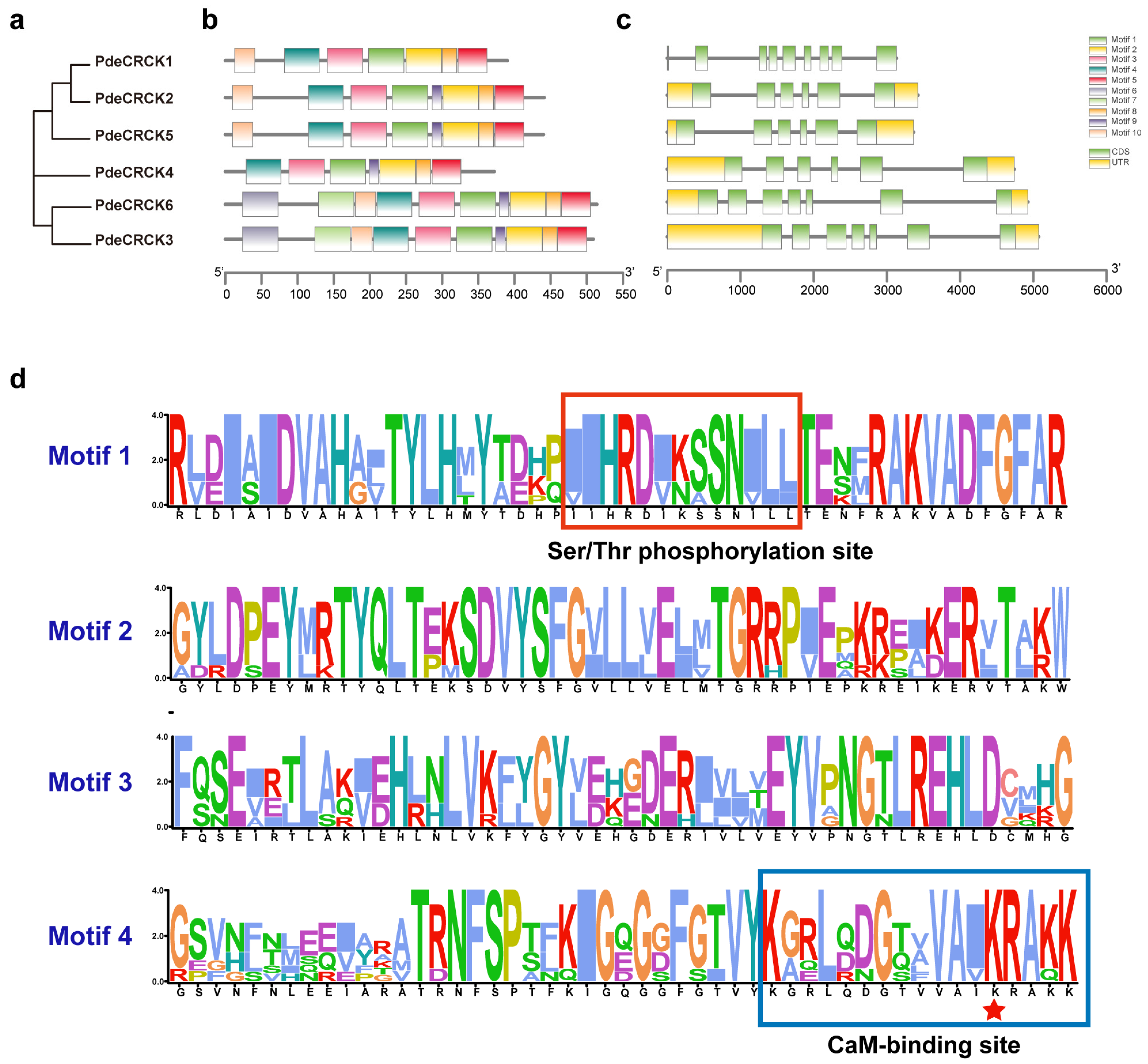 Plants 13 03371 g003