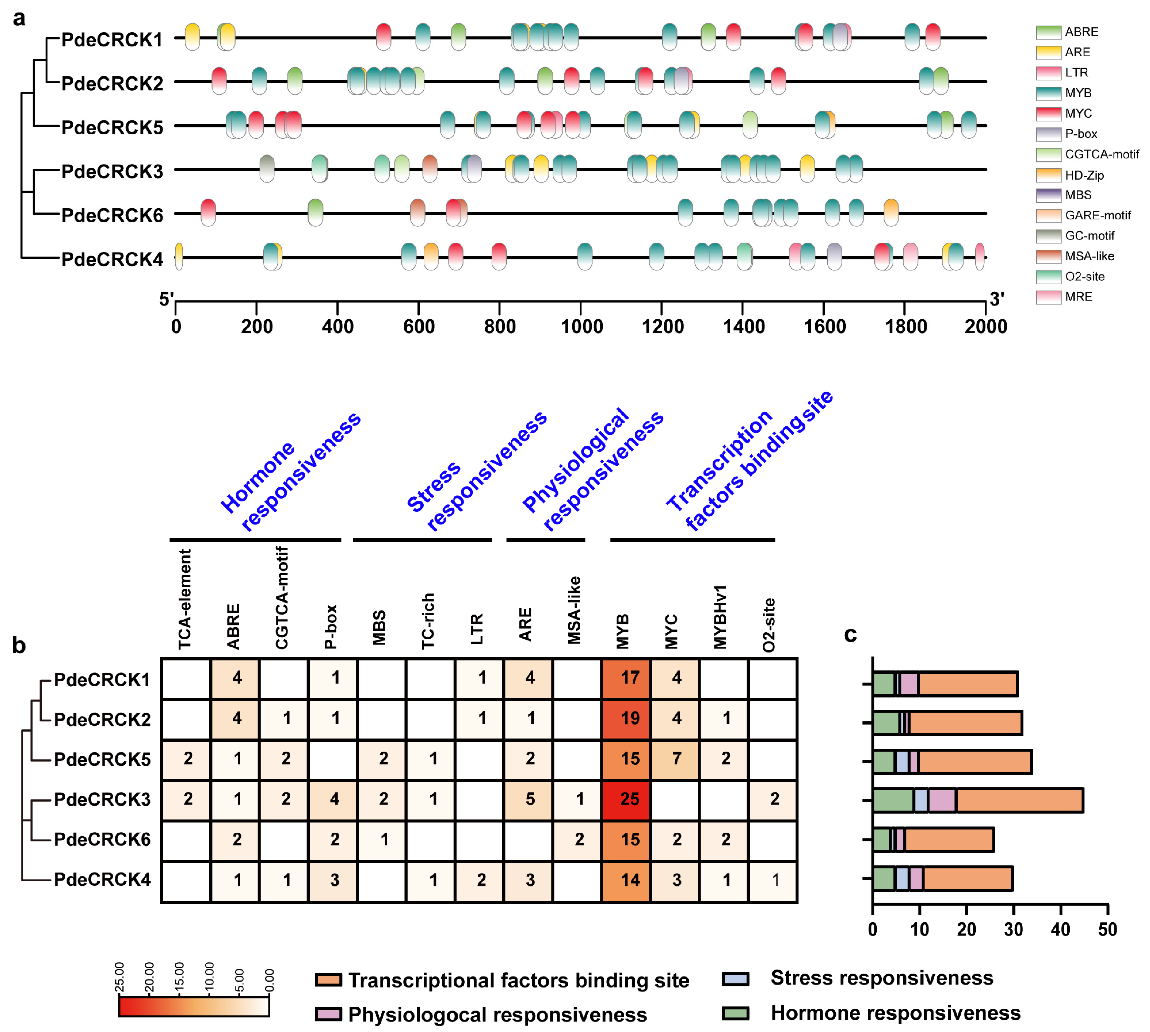 Plants 13 03371 g005