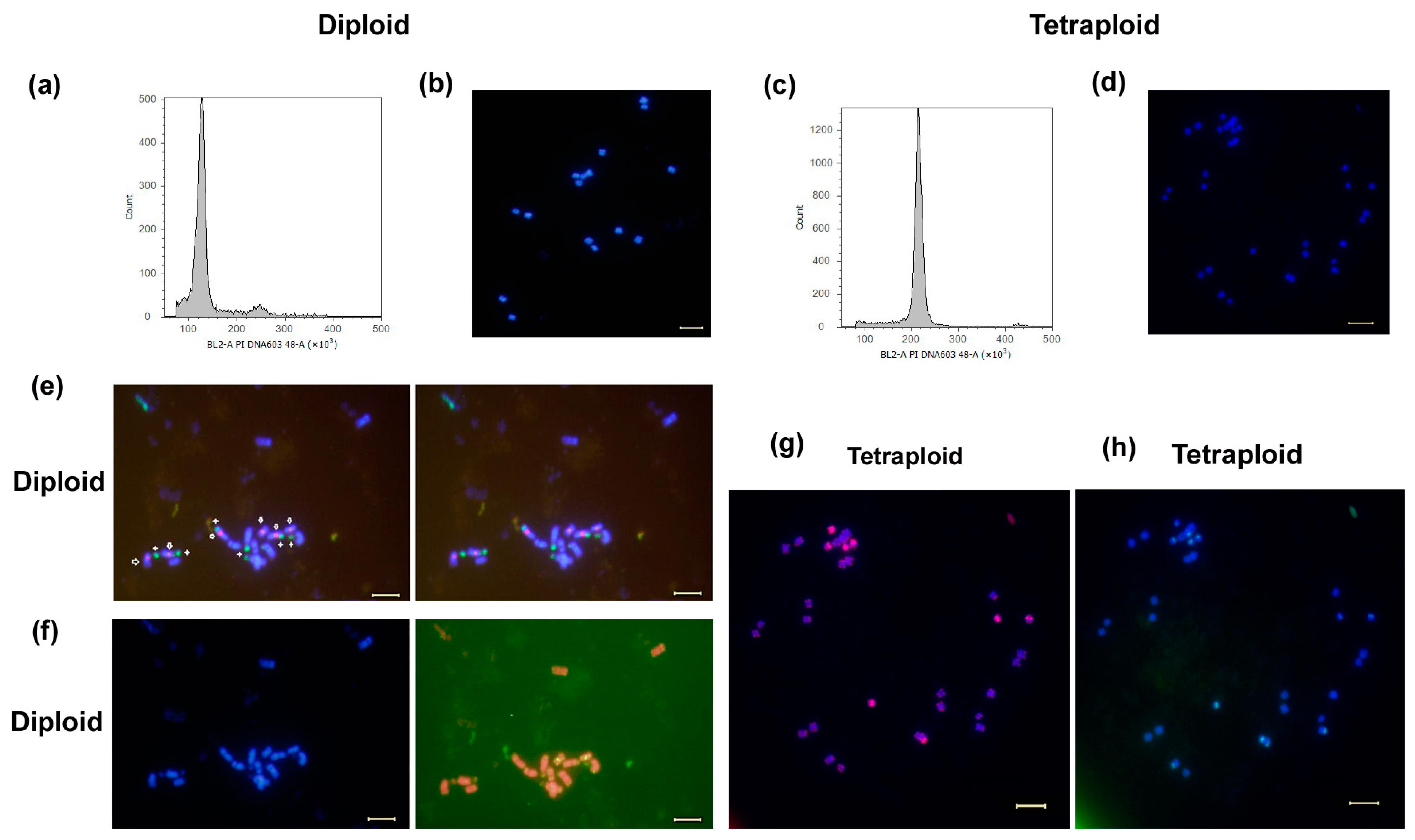 Plants 13 03374 g002