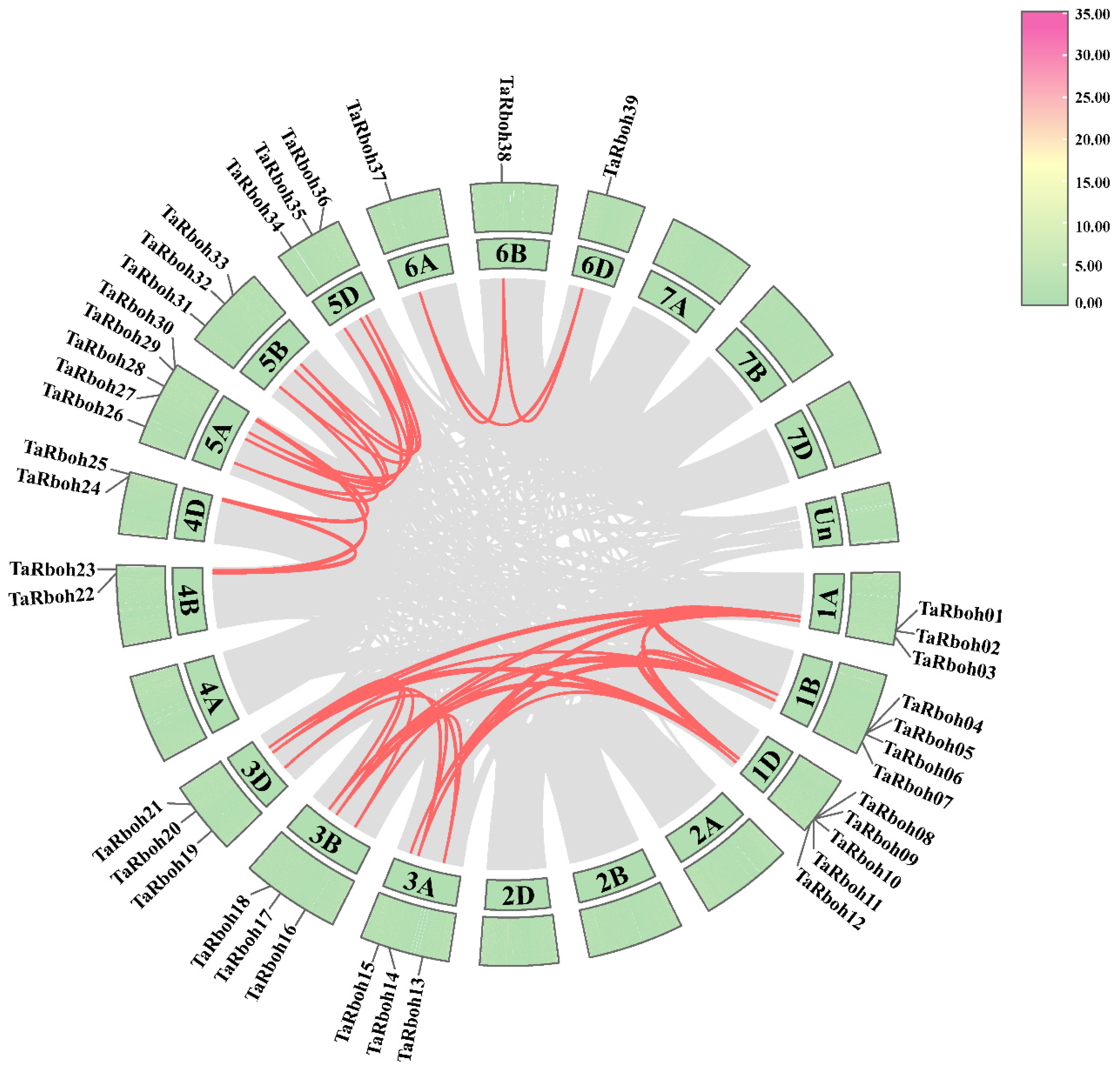 Plants 13 03377 g005