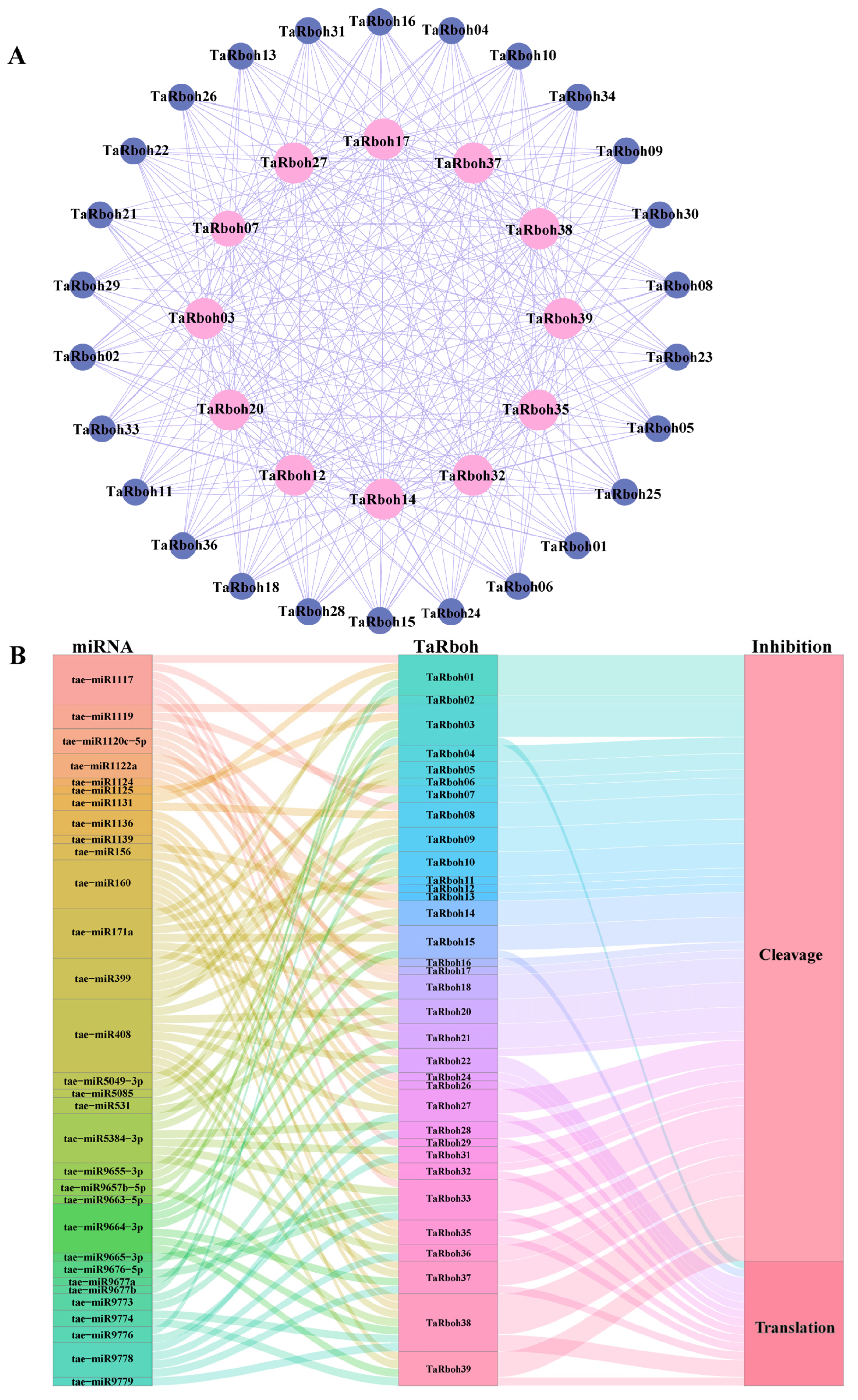 Plants 13 03377 g007