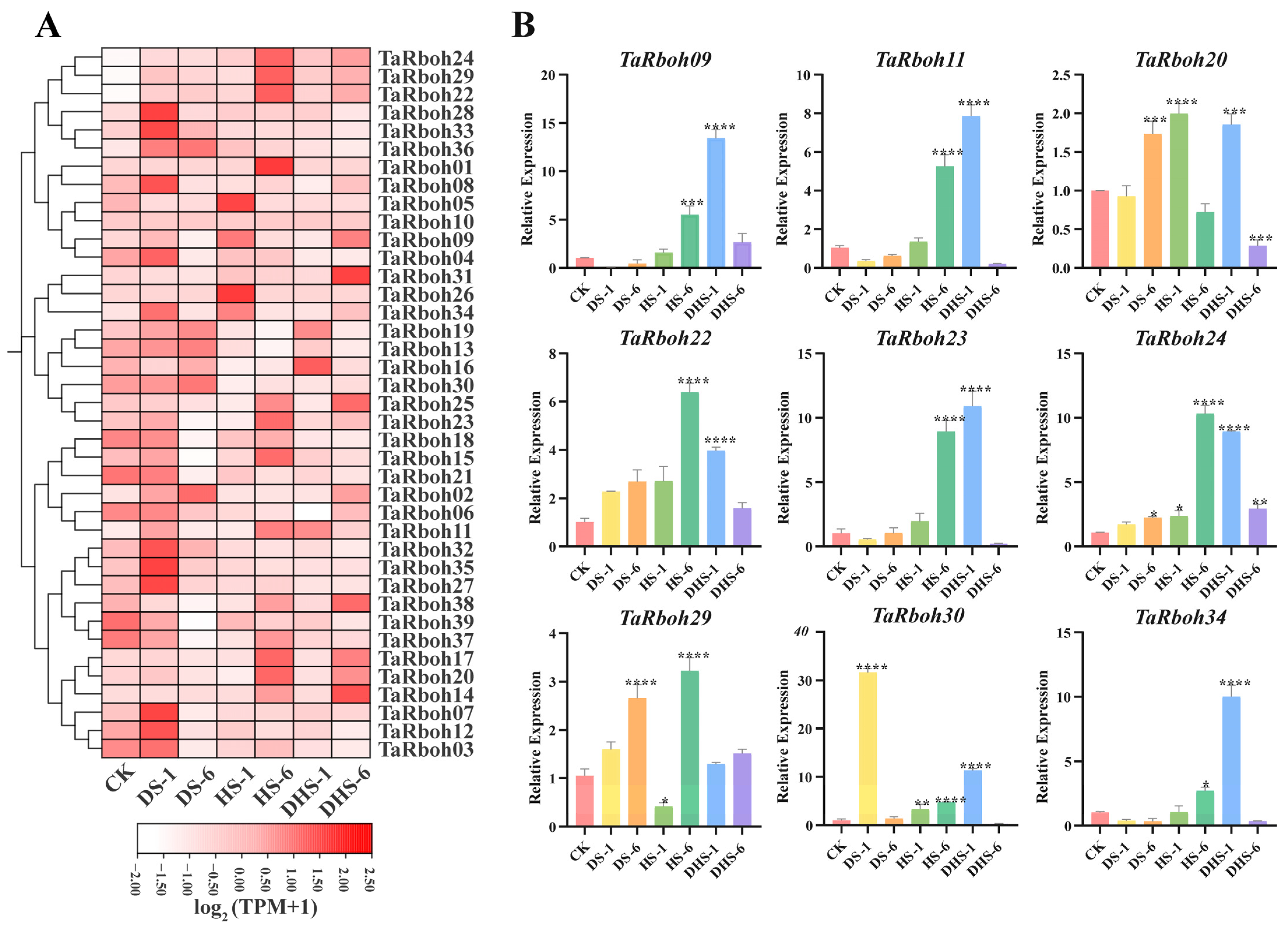 Plants 13 03377 g008
