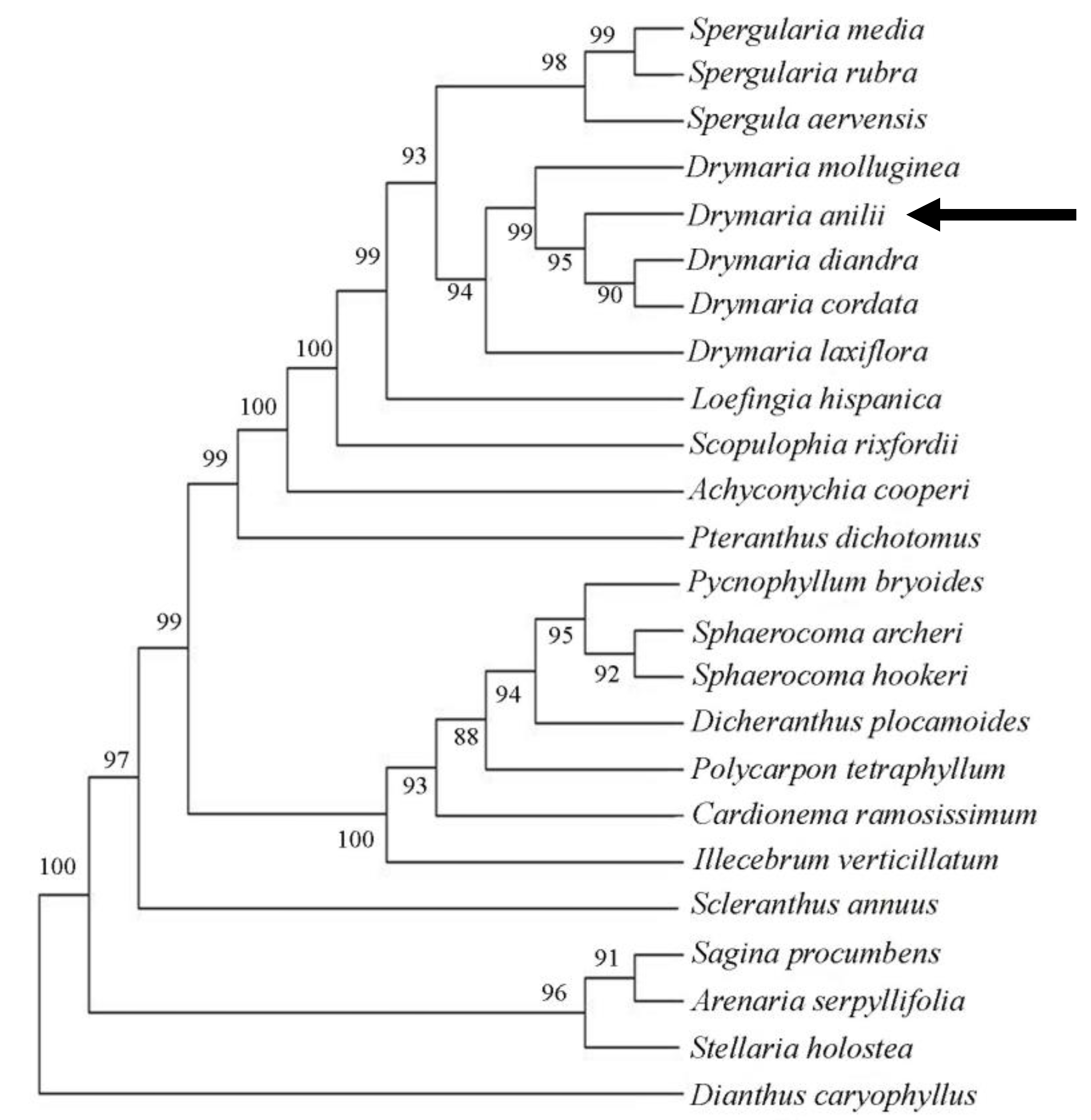 Plants 13 03378 g004