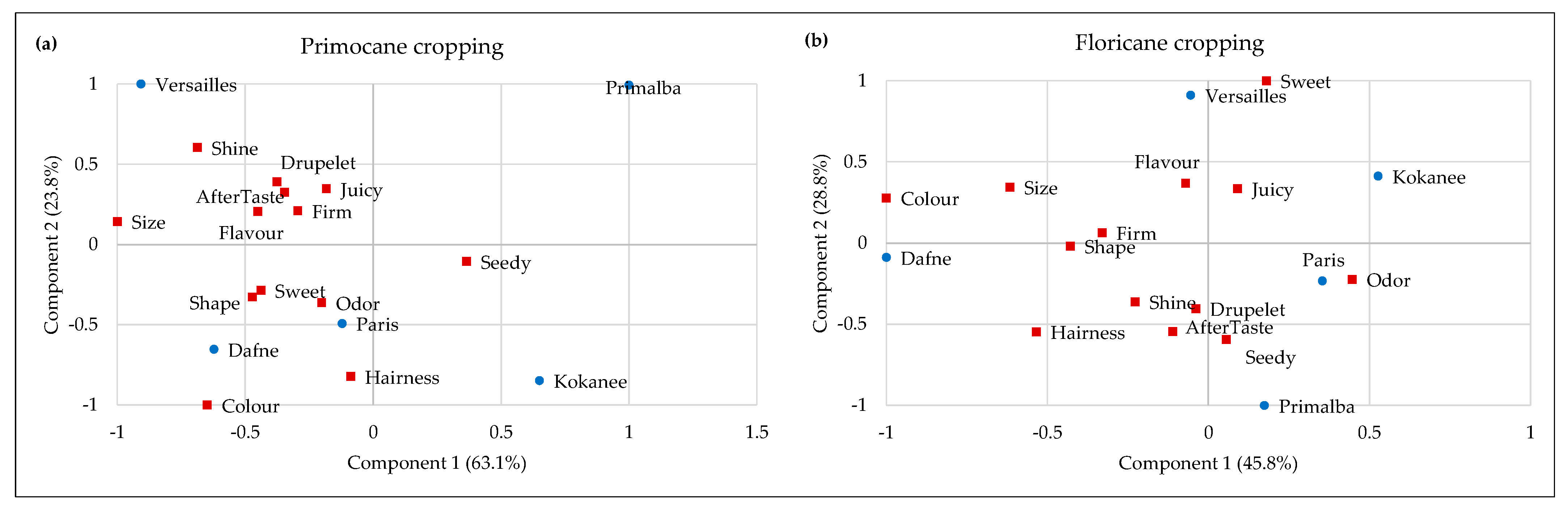 Plants 13 03382 g004