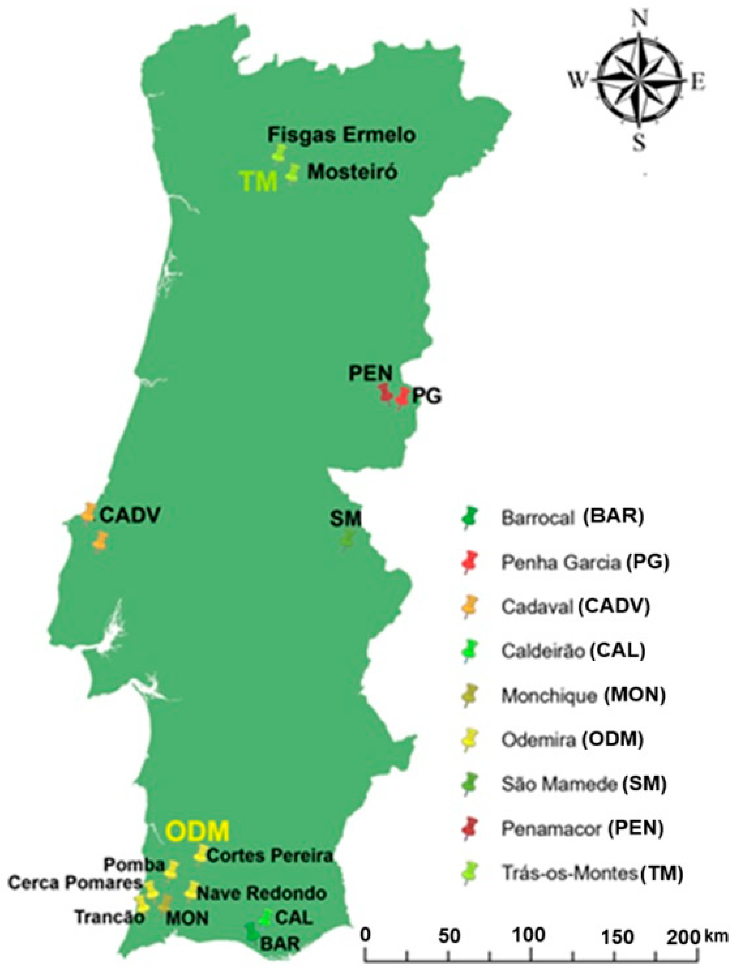 Plants 13 03383 g002