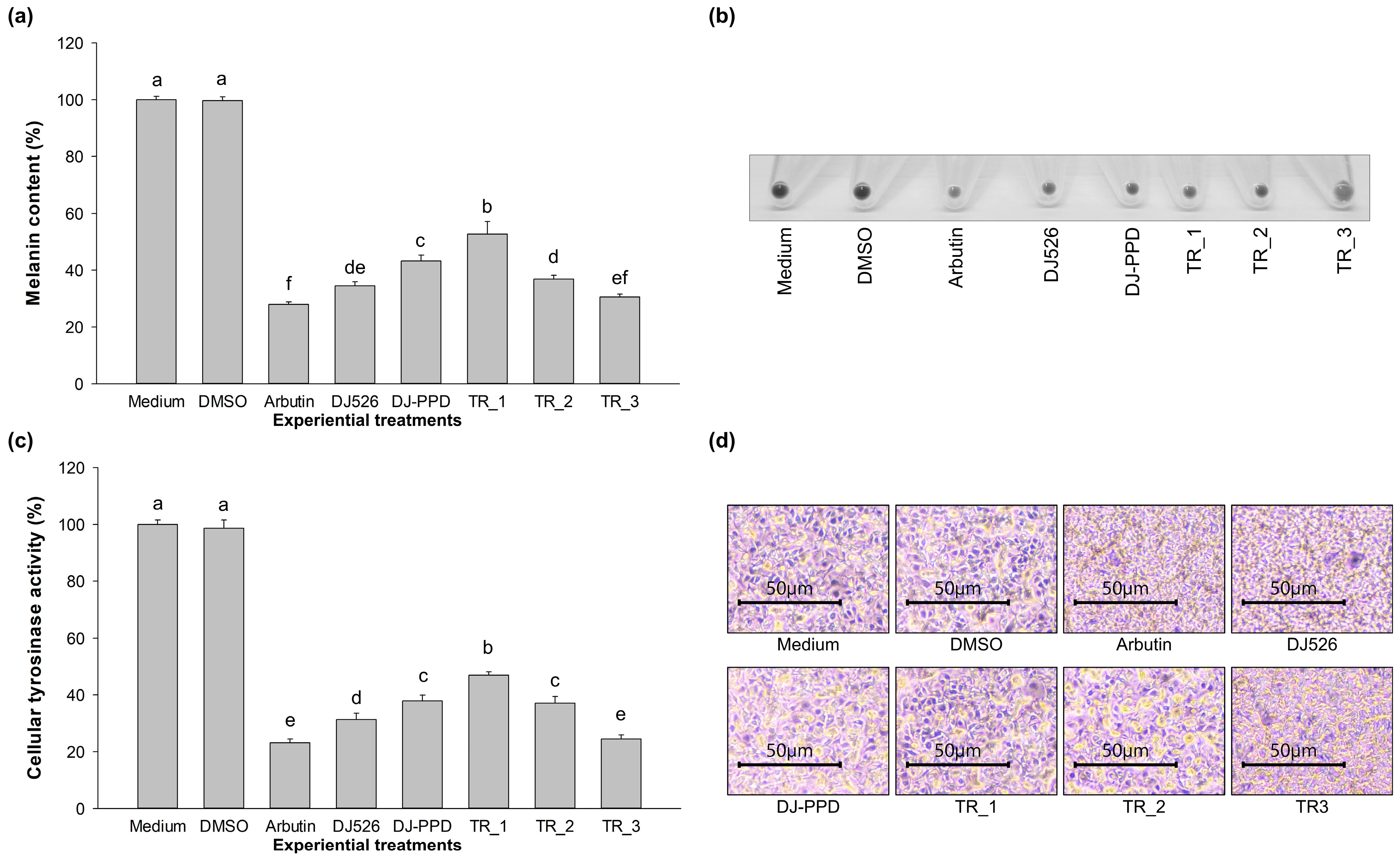 Plants 13 03385 g003
