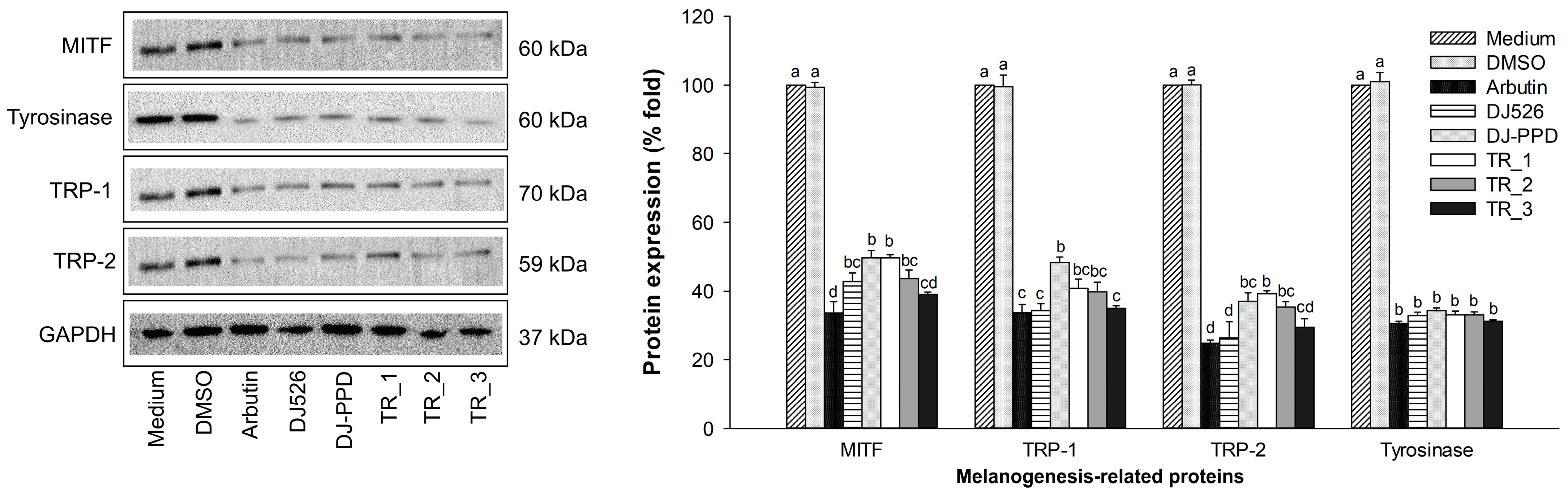 Plants 13 03385 g005