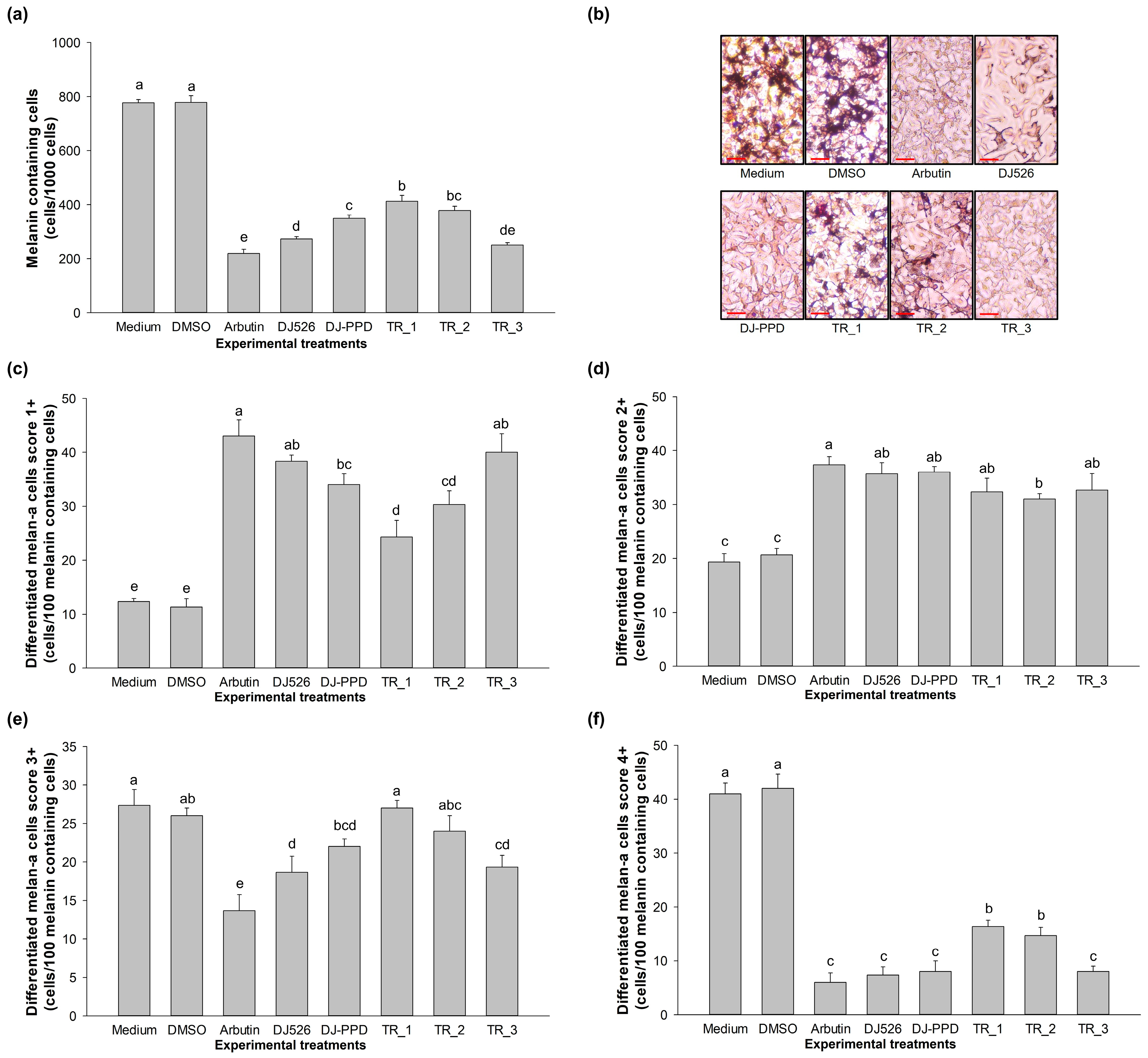 Plants 13 03385 g006