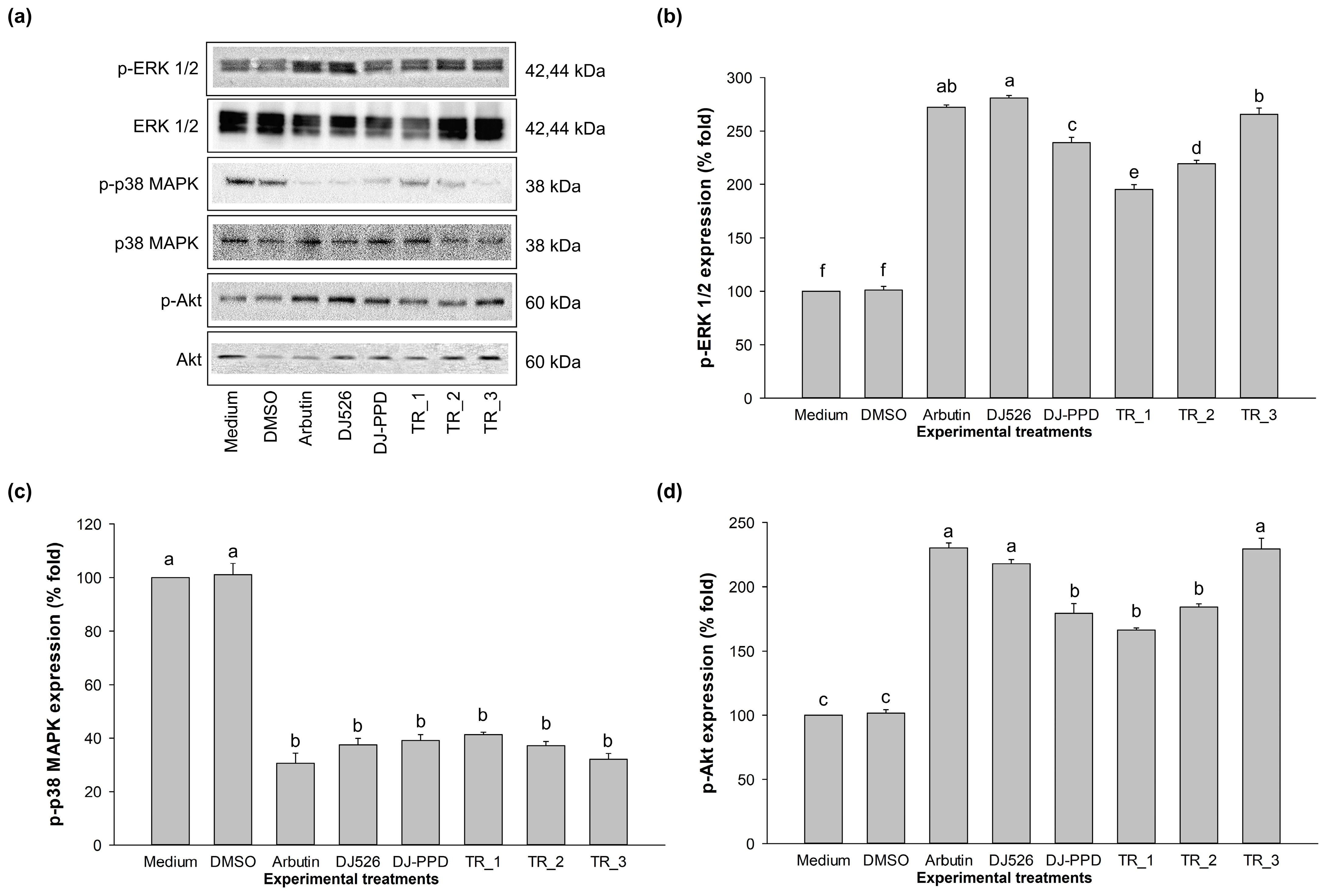 Plants 13 03385 g007