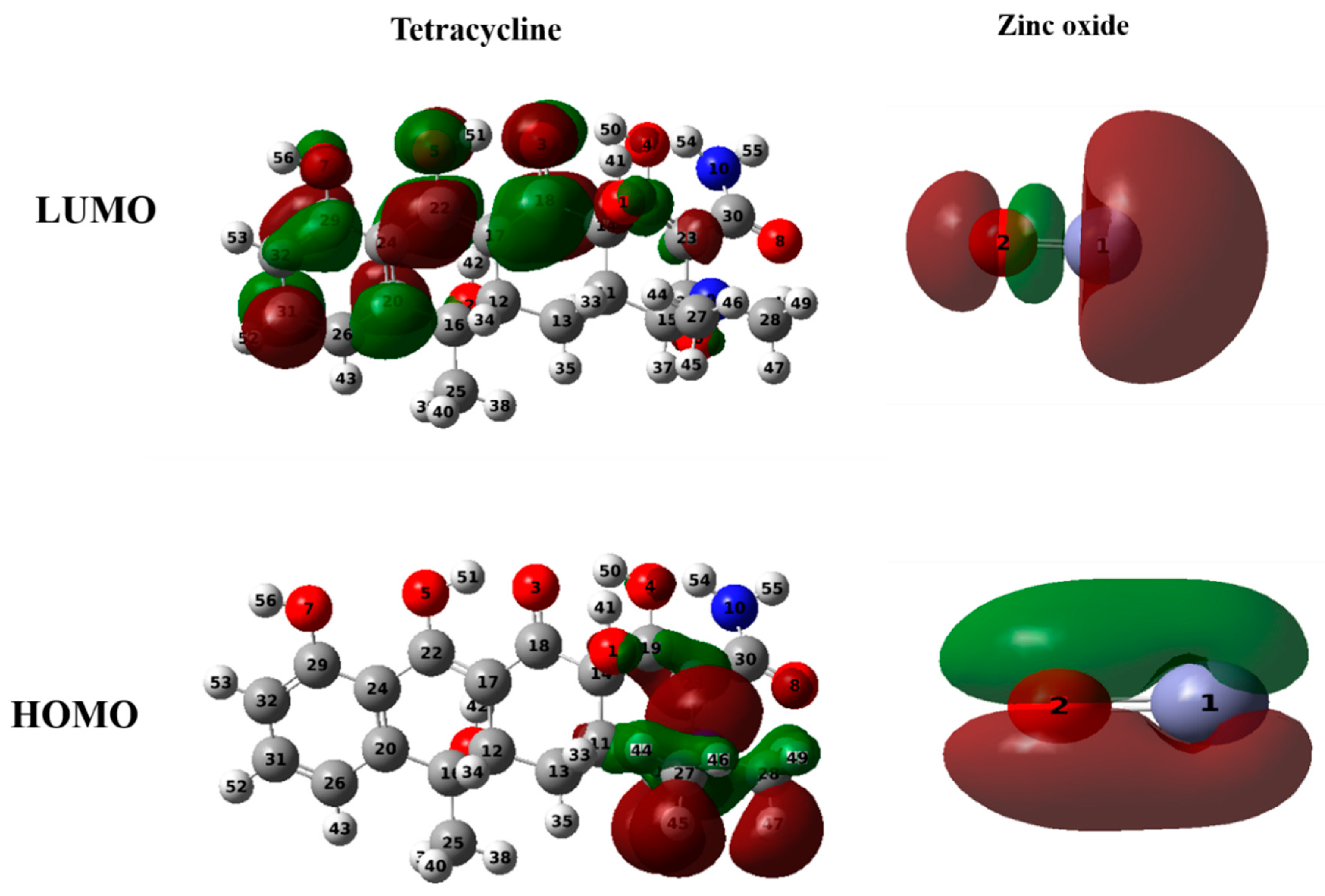 Plants 13 03386 g012