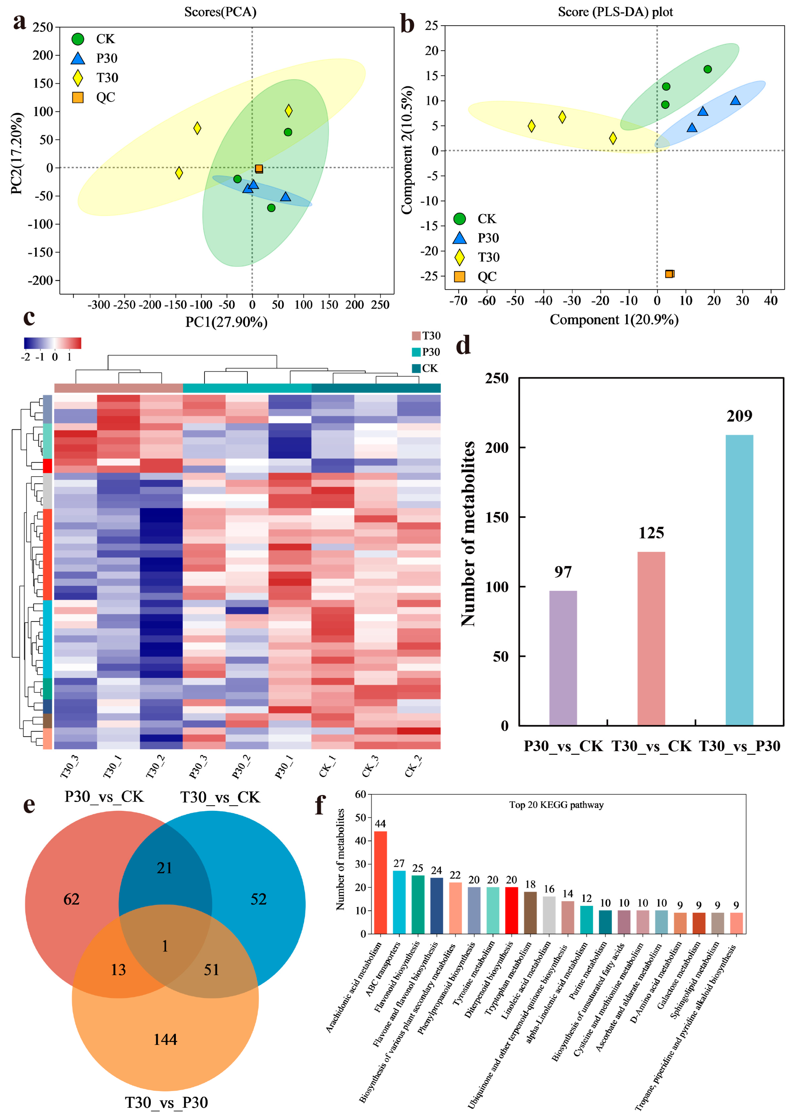 Plants 13 03389 g002