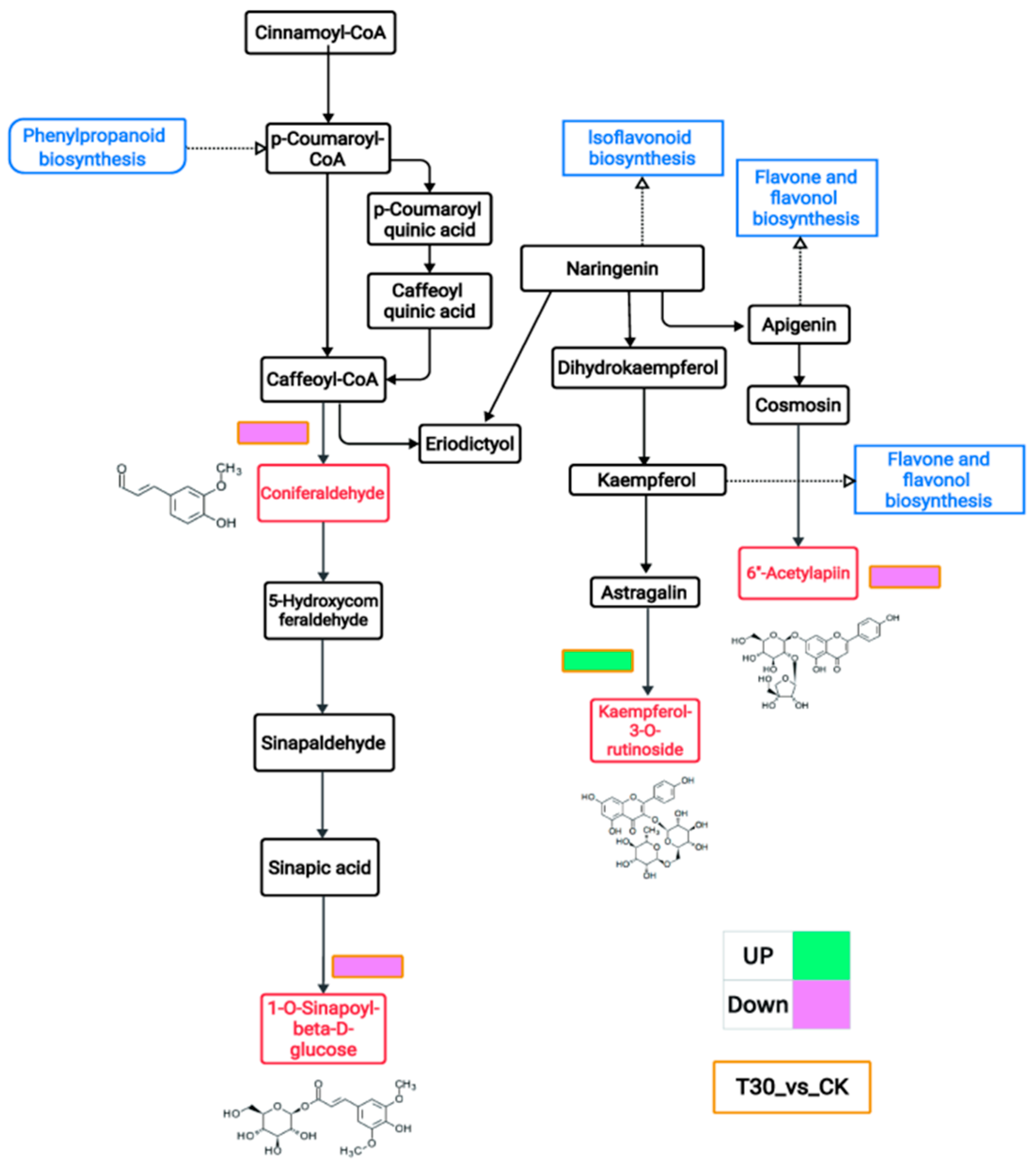 Plants 13 03389 g004