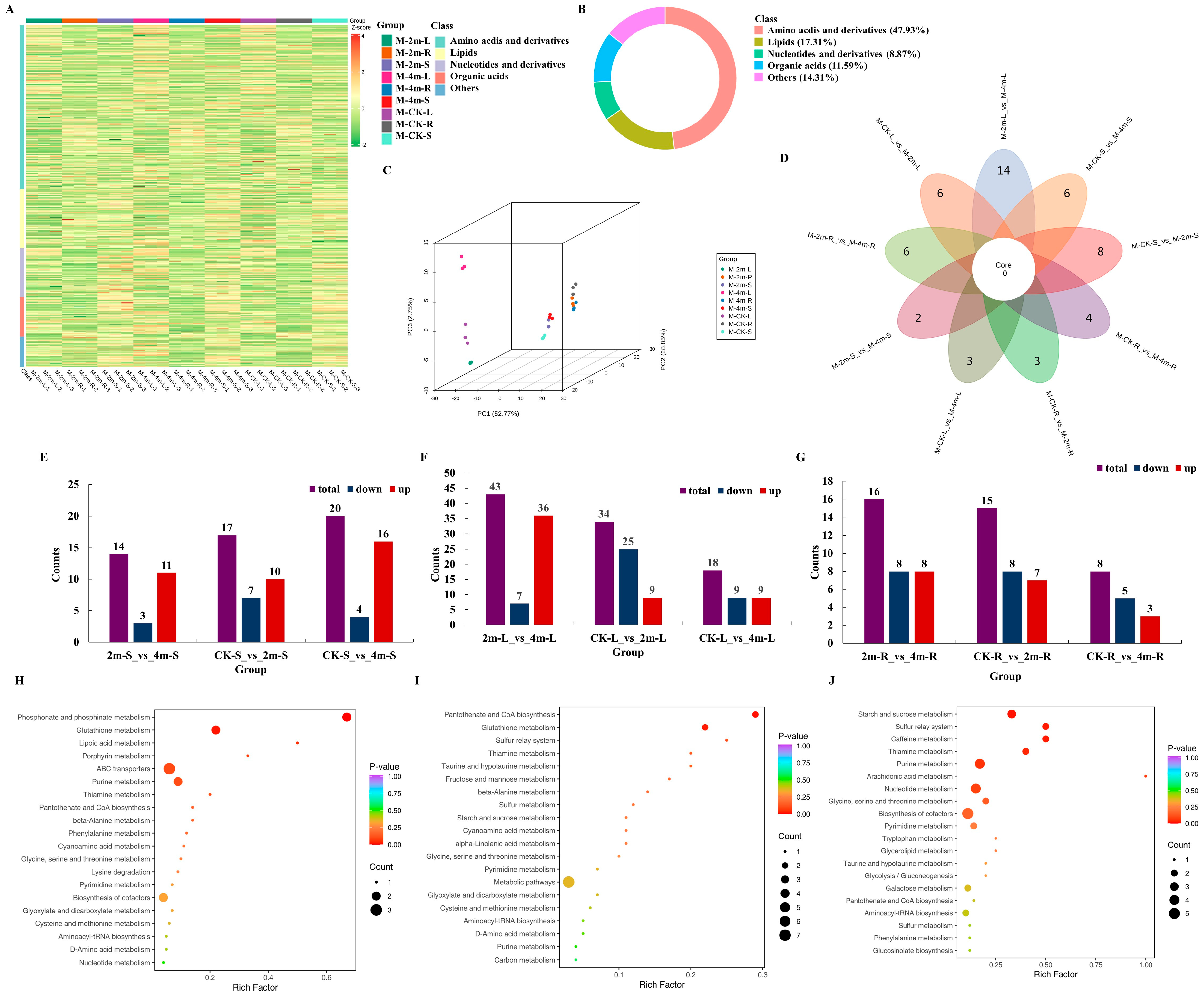 Plants 13 03391 g002