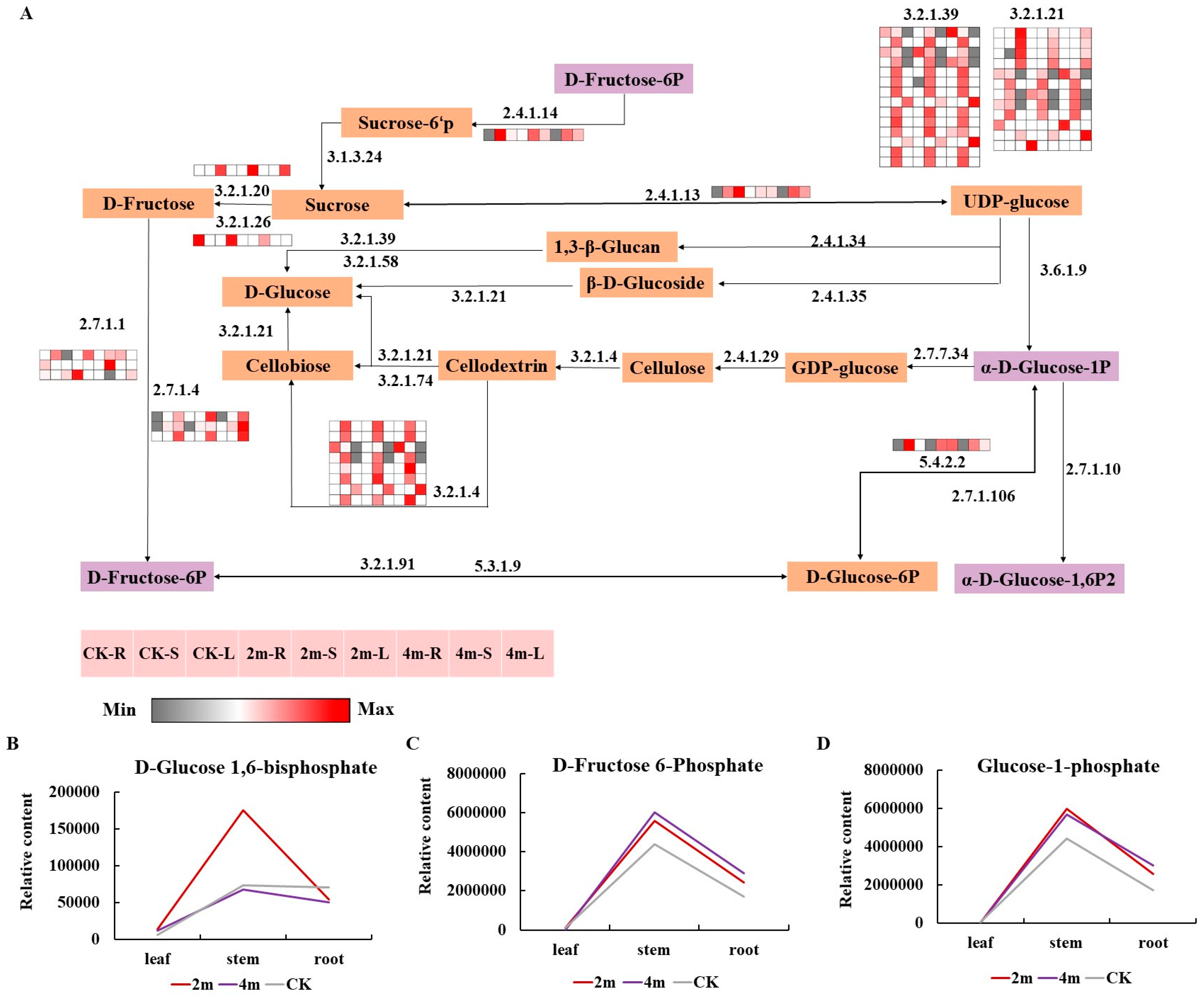 Plants 13 03391 g005