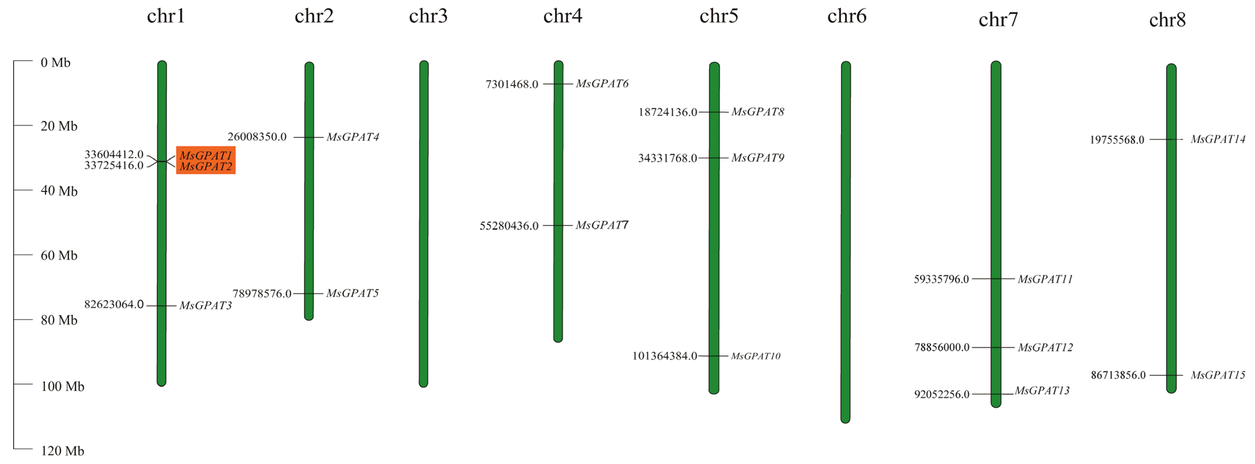 Plants 13 03392 g001