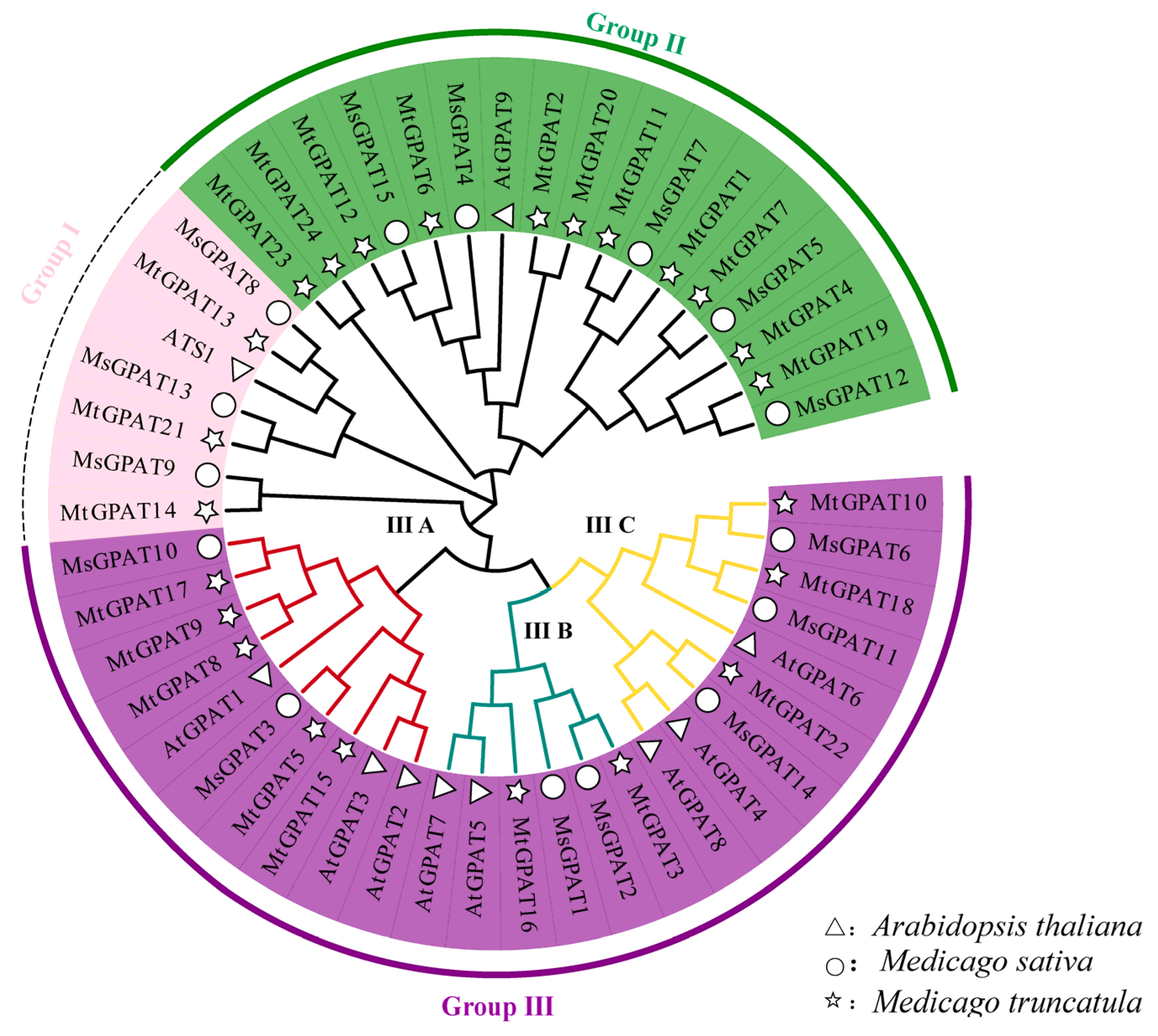 Plants 13 03392 g002
