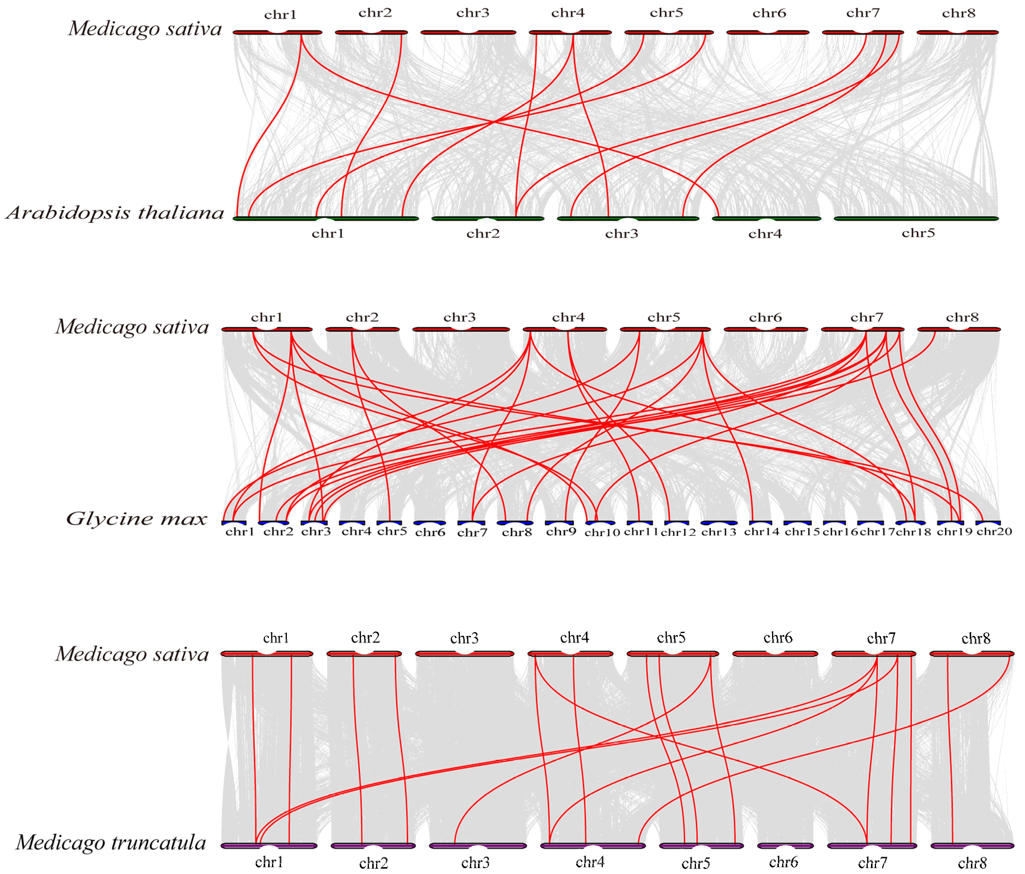 Plants 13 03392 g003