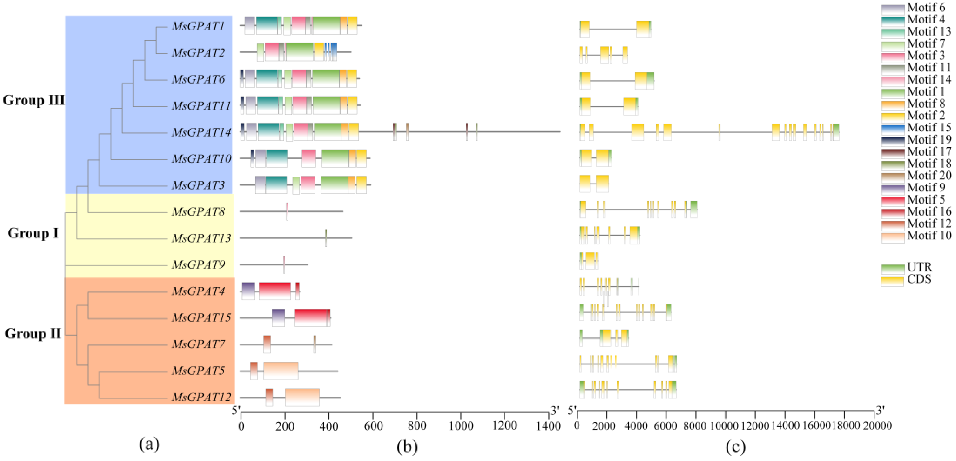 Plants 13 03392 g004
