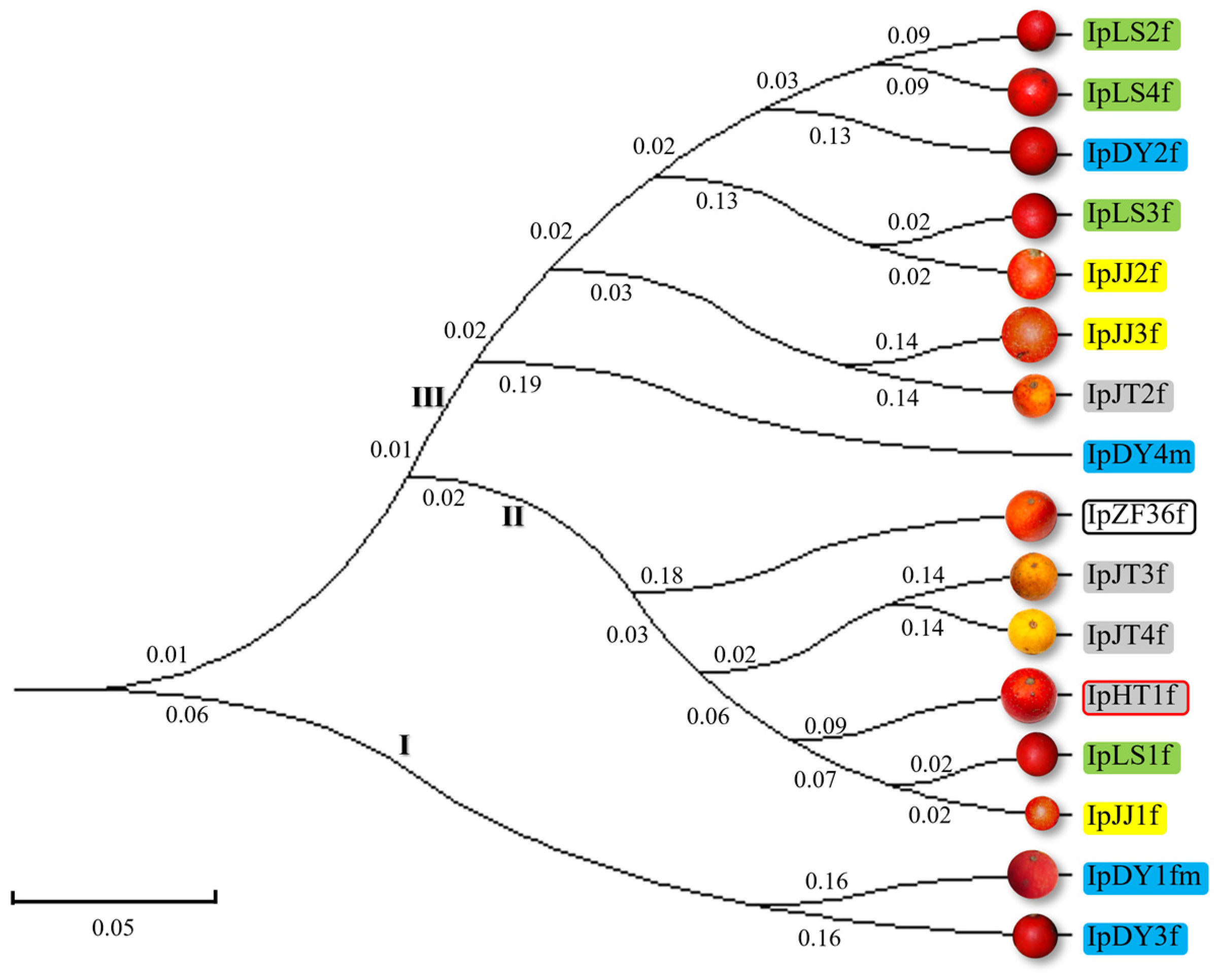 Plants 13 03394 g001