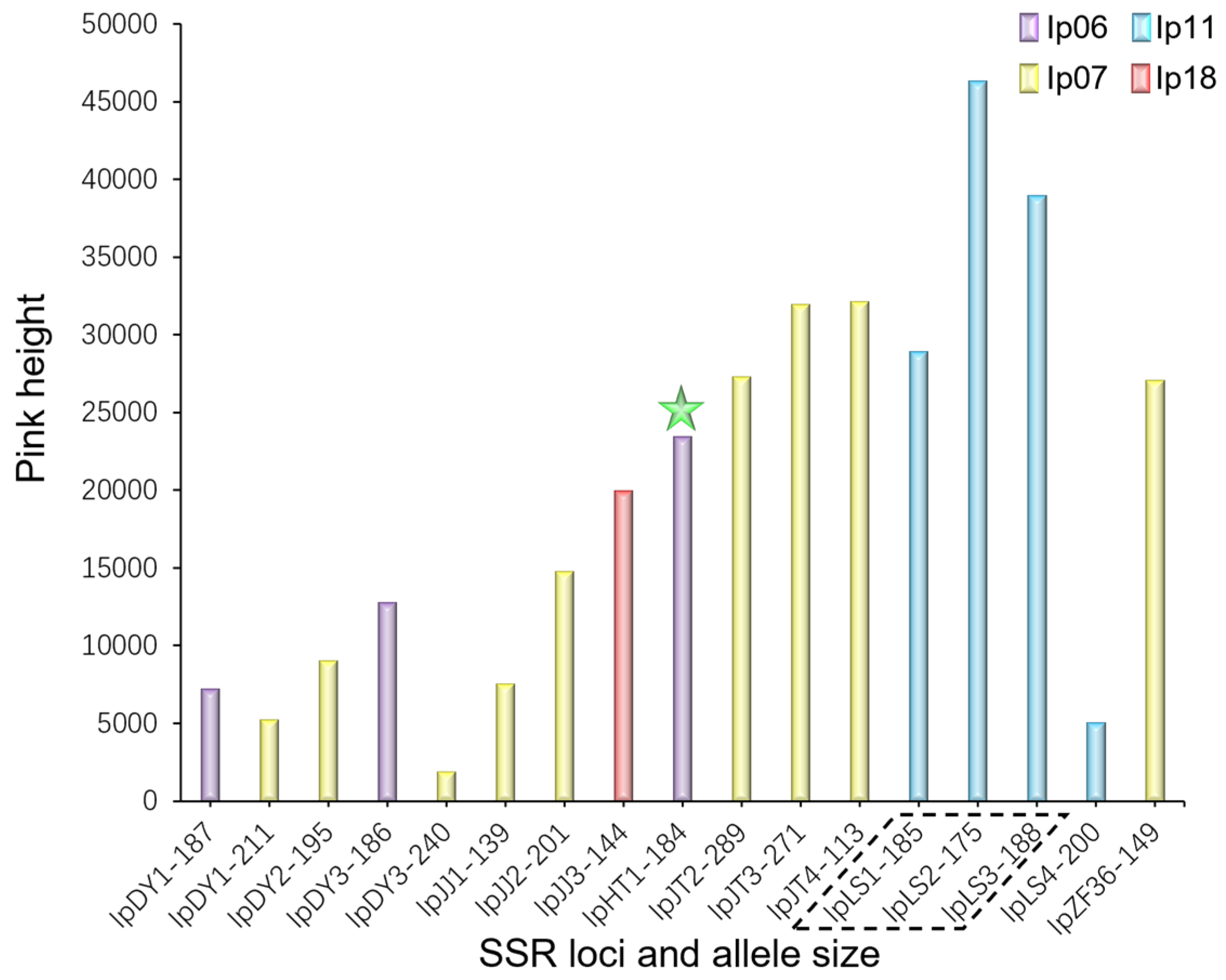 Plants 13 03394 g003