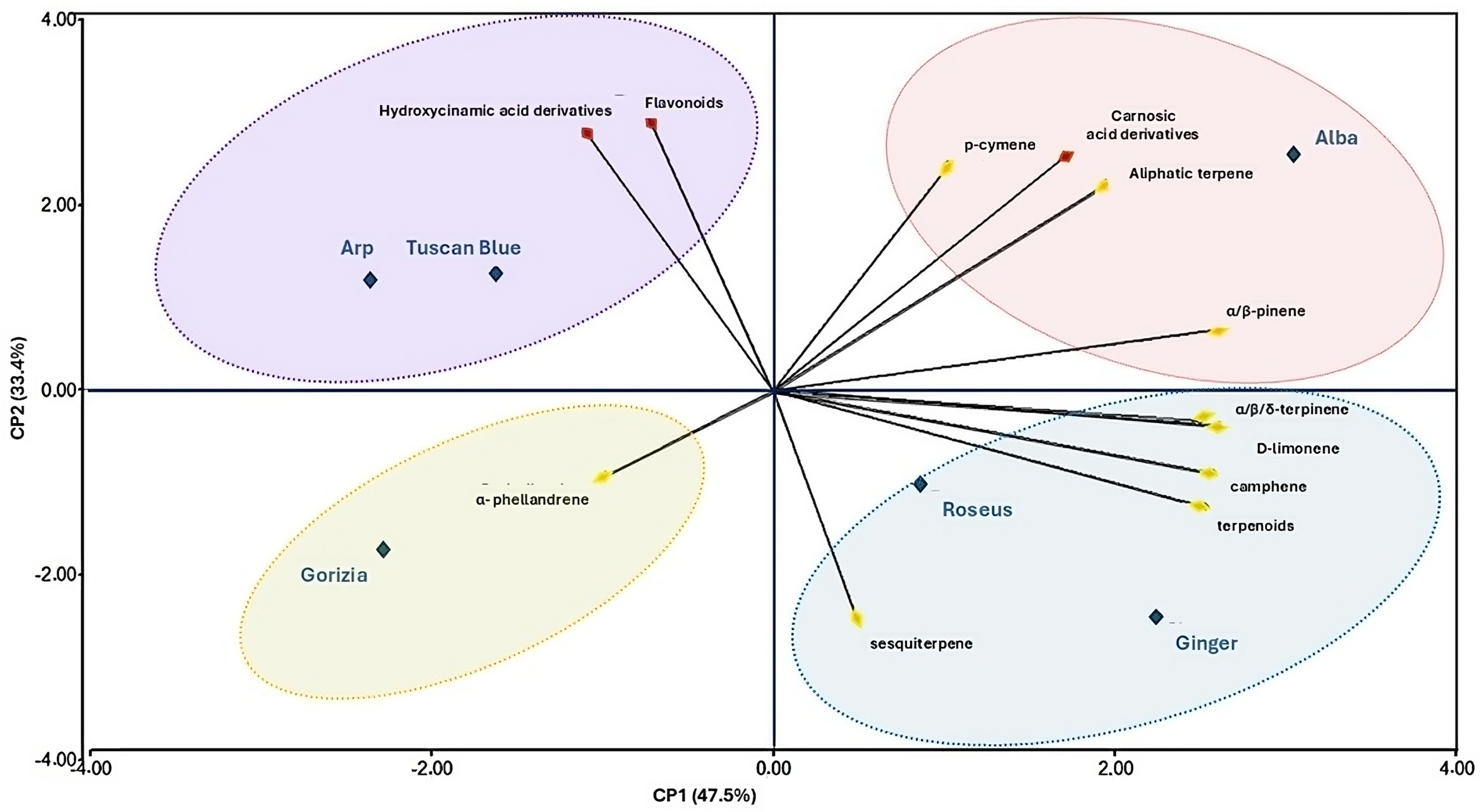 Plants 13 03395 g003