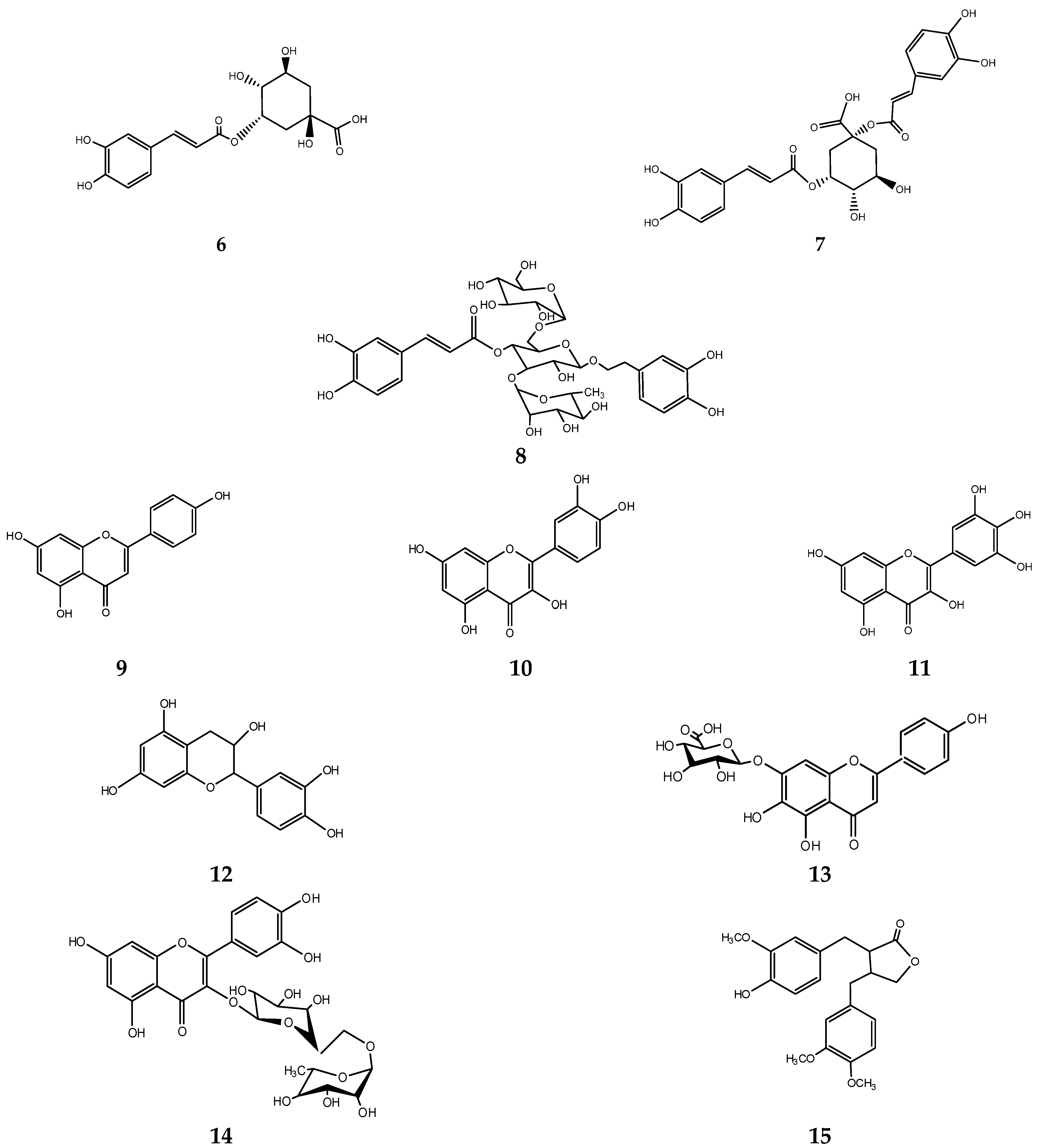 Plants 13 03397 g001b