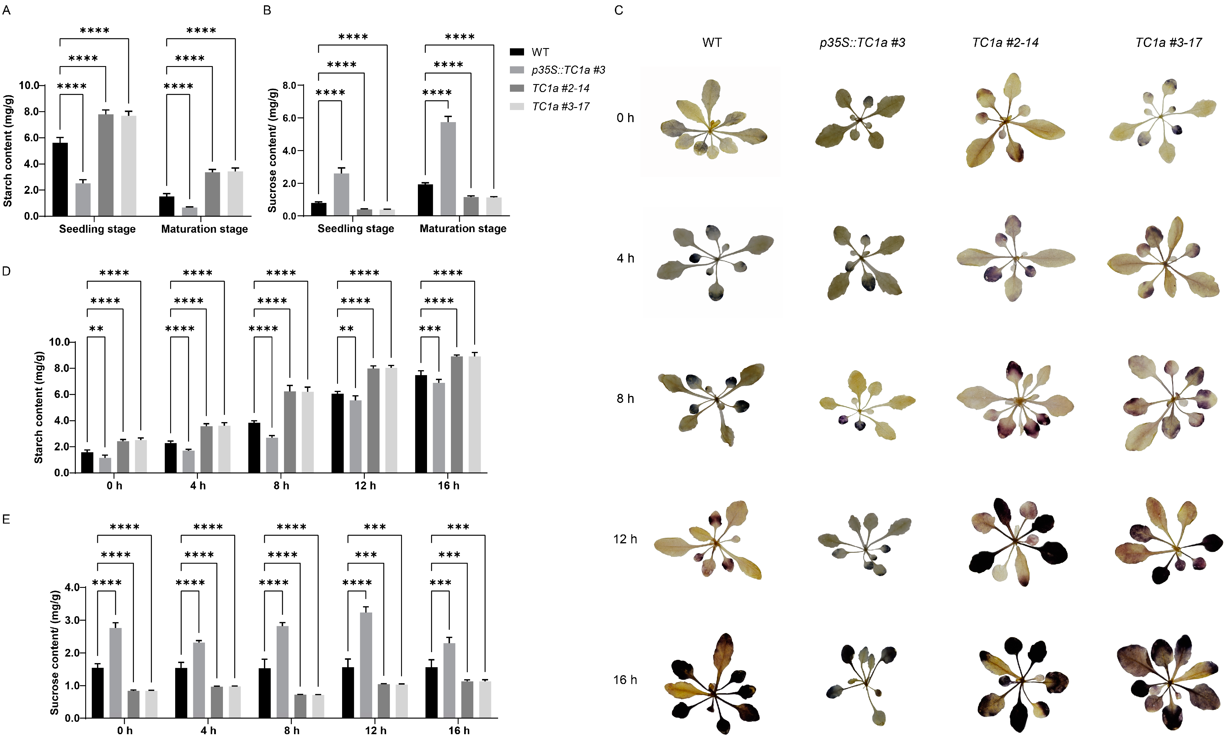 Plants 13 03402 g006