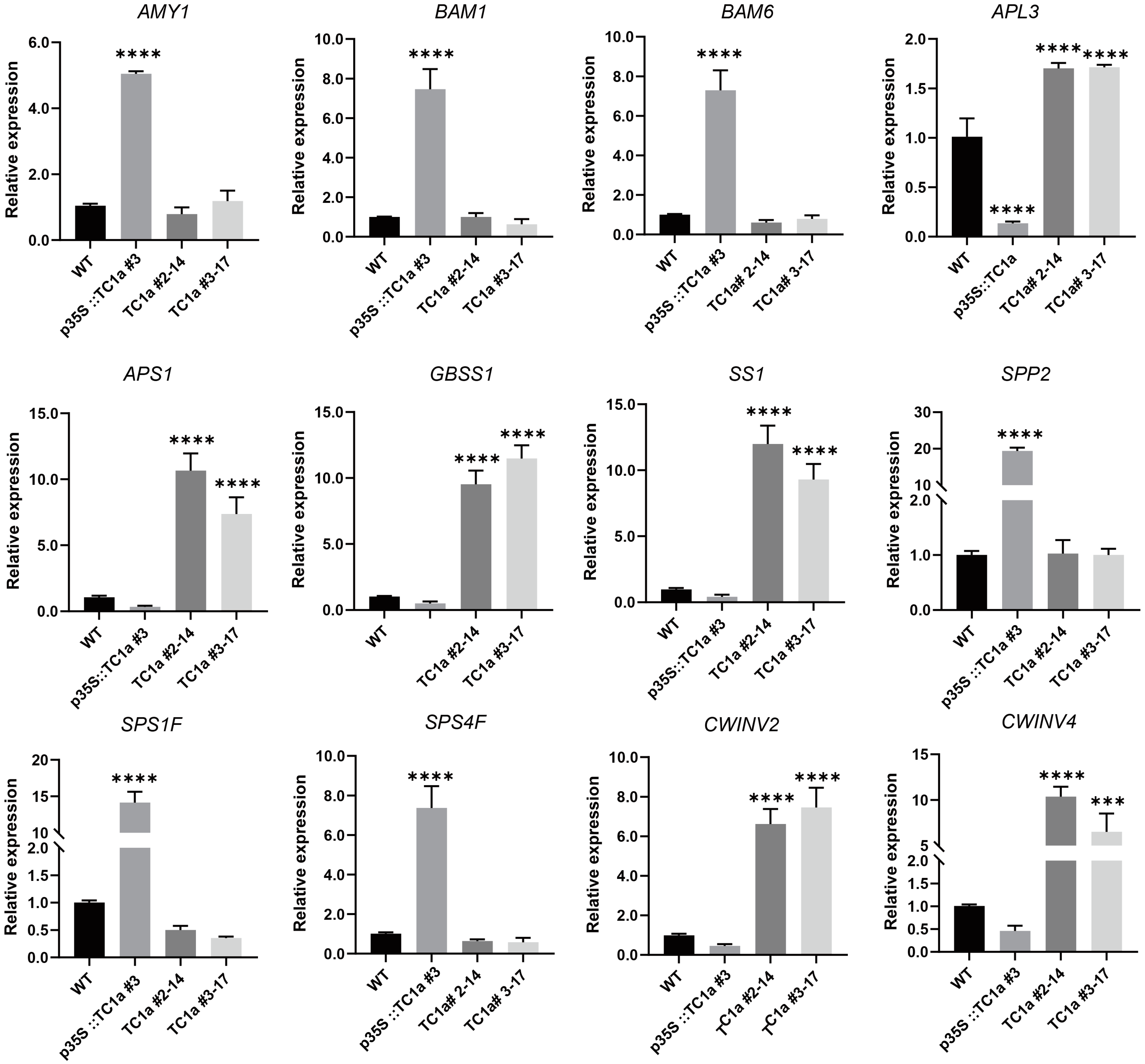 Plants 13 03402 g008