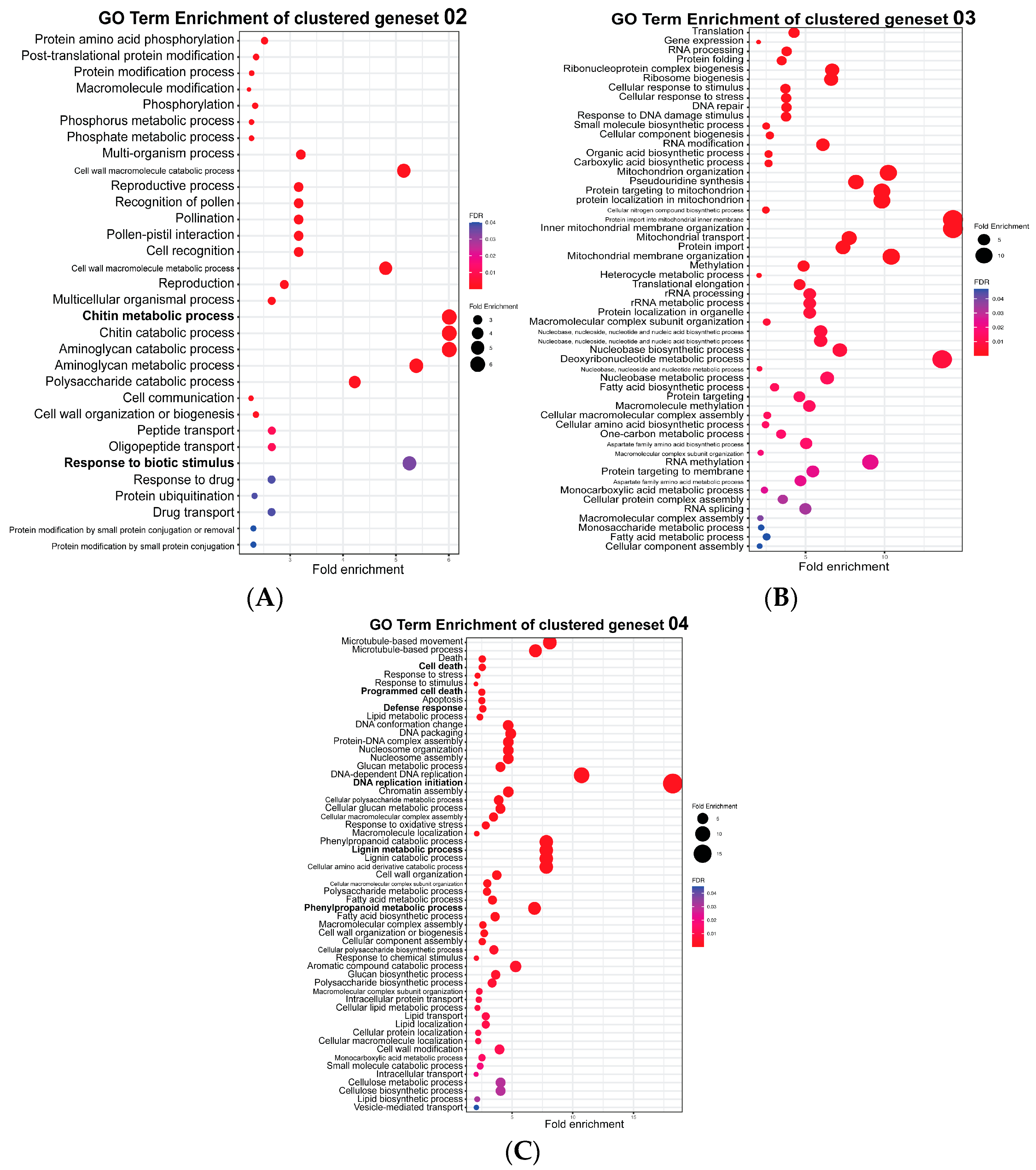 Plants 13 03408 g002
